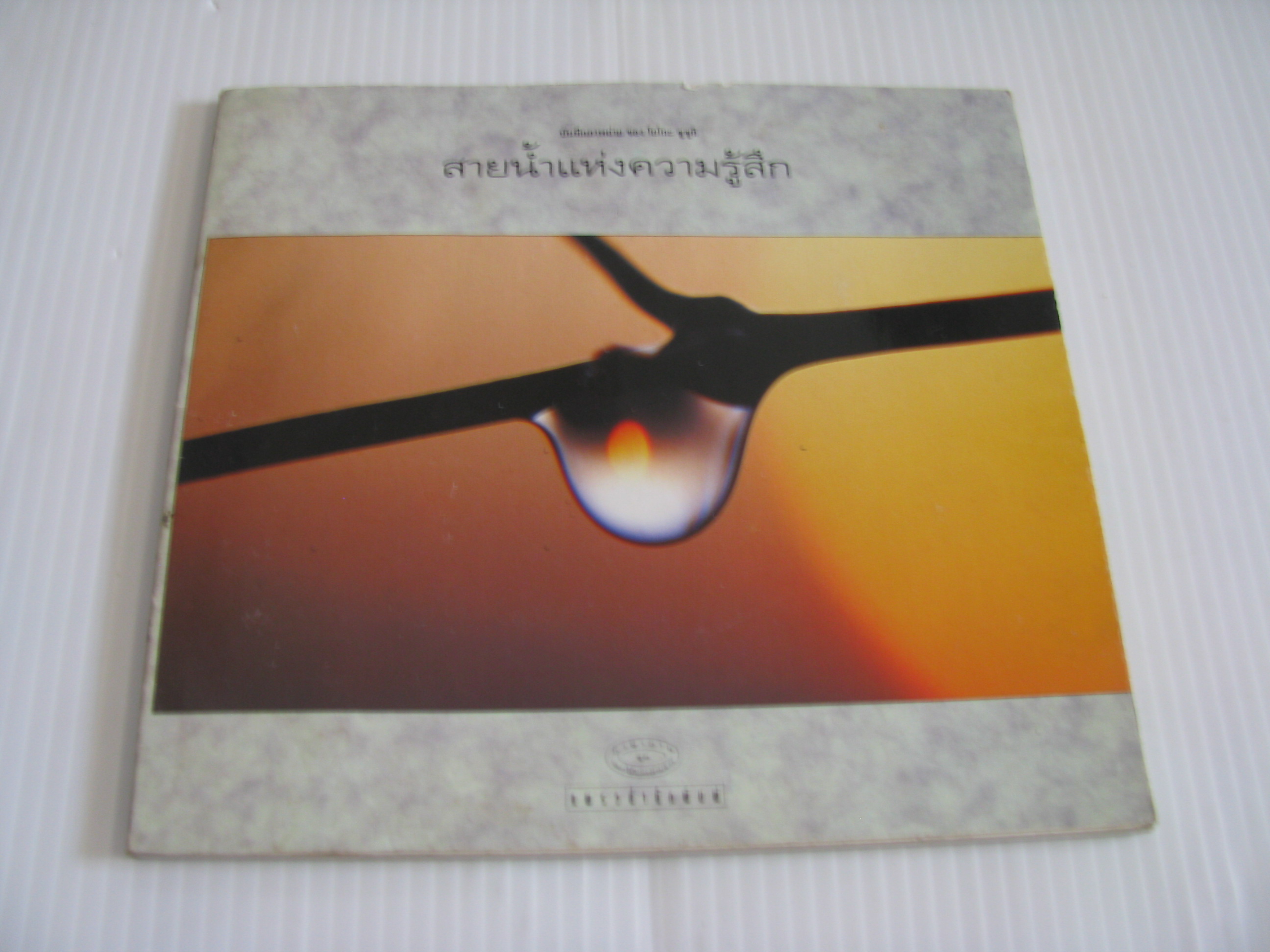 บันทึกภาพถ่ายของ โยโกะ ซูซูกิ สายน้ำแห่งความรู้สึก***สินค้าหมด***