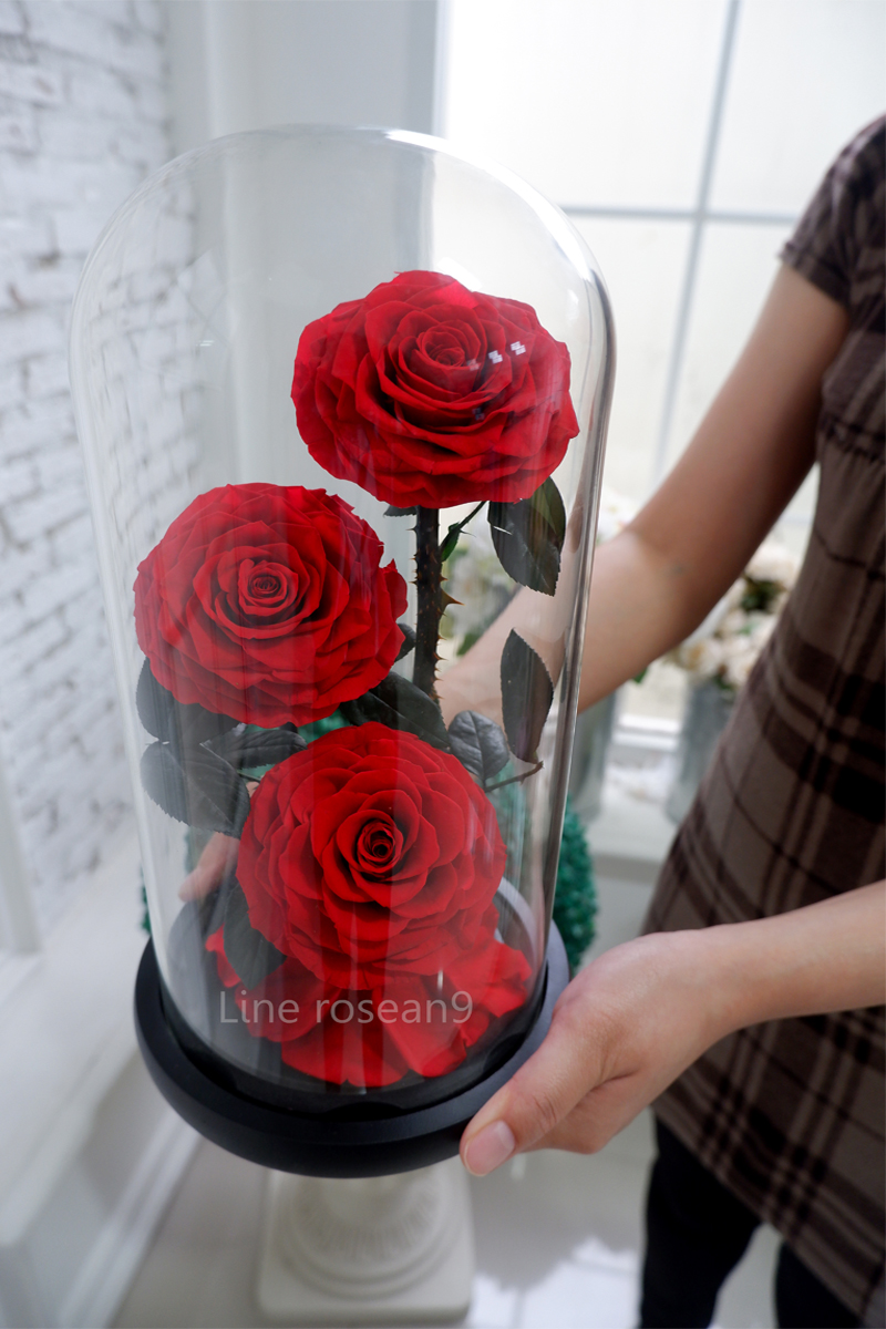 กุหลาบในโดมแก้ว3ดอก