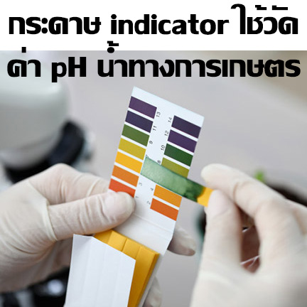 เครื่องวัด pH ดิน วัดความชื้นในดิน ยี่ห้อ Takemura ผลิตในญี่ปุ่น รับประกันคุณภาพ รุ่น DM-15