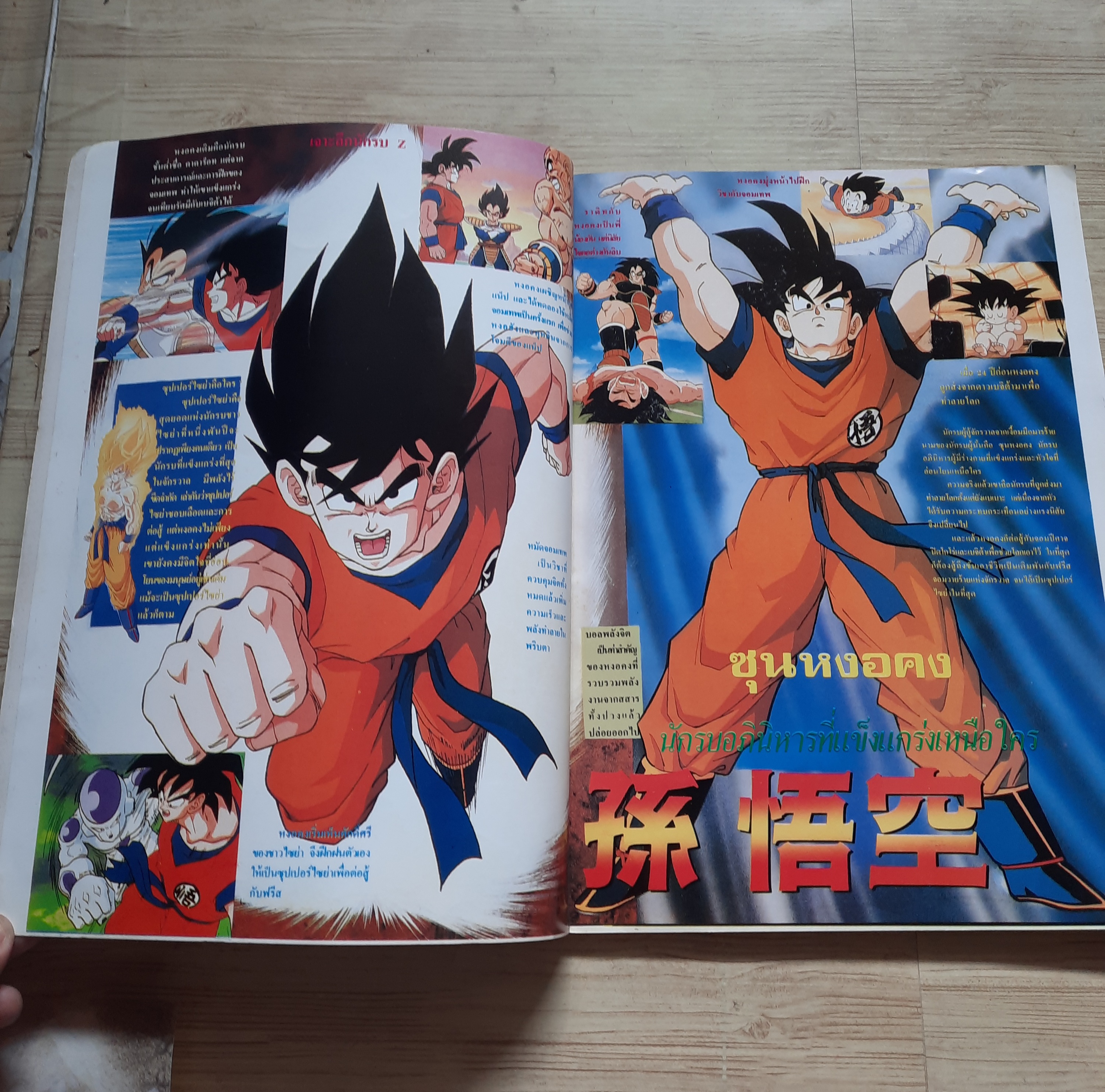 หนังสือรวมภาพ DRAGONBALL Z (เล่มใหญ่)