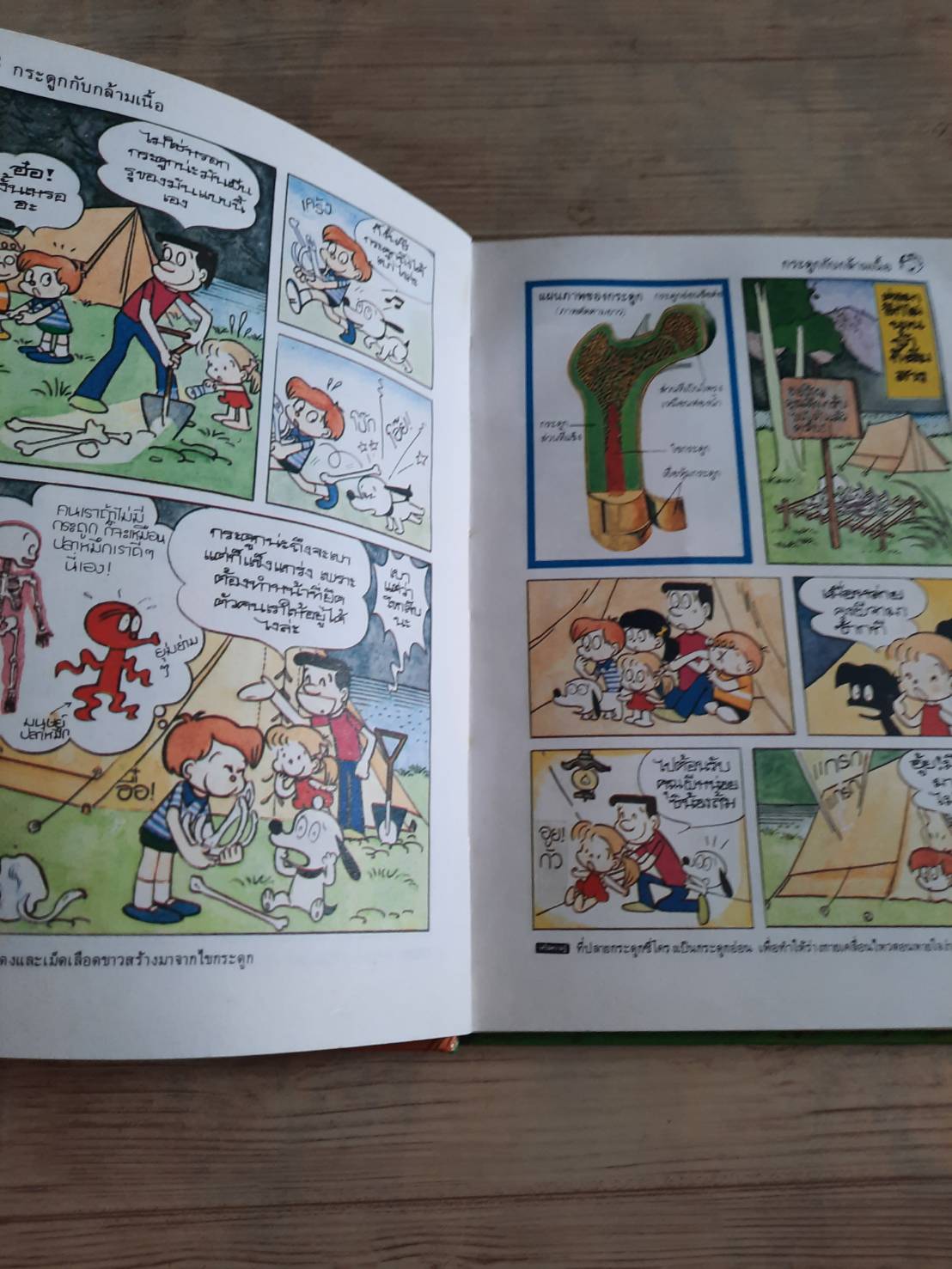 วิทยาศาสตร์อ่านสนุก ลำดับที่ 9 ร่างกายของเรา เทะรุมิ ฟุยิคิ ภาพ บุษบา กมลยะบุตรและคณะ แปล***สินค้าหมด***