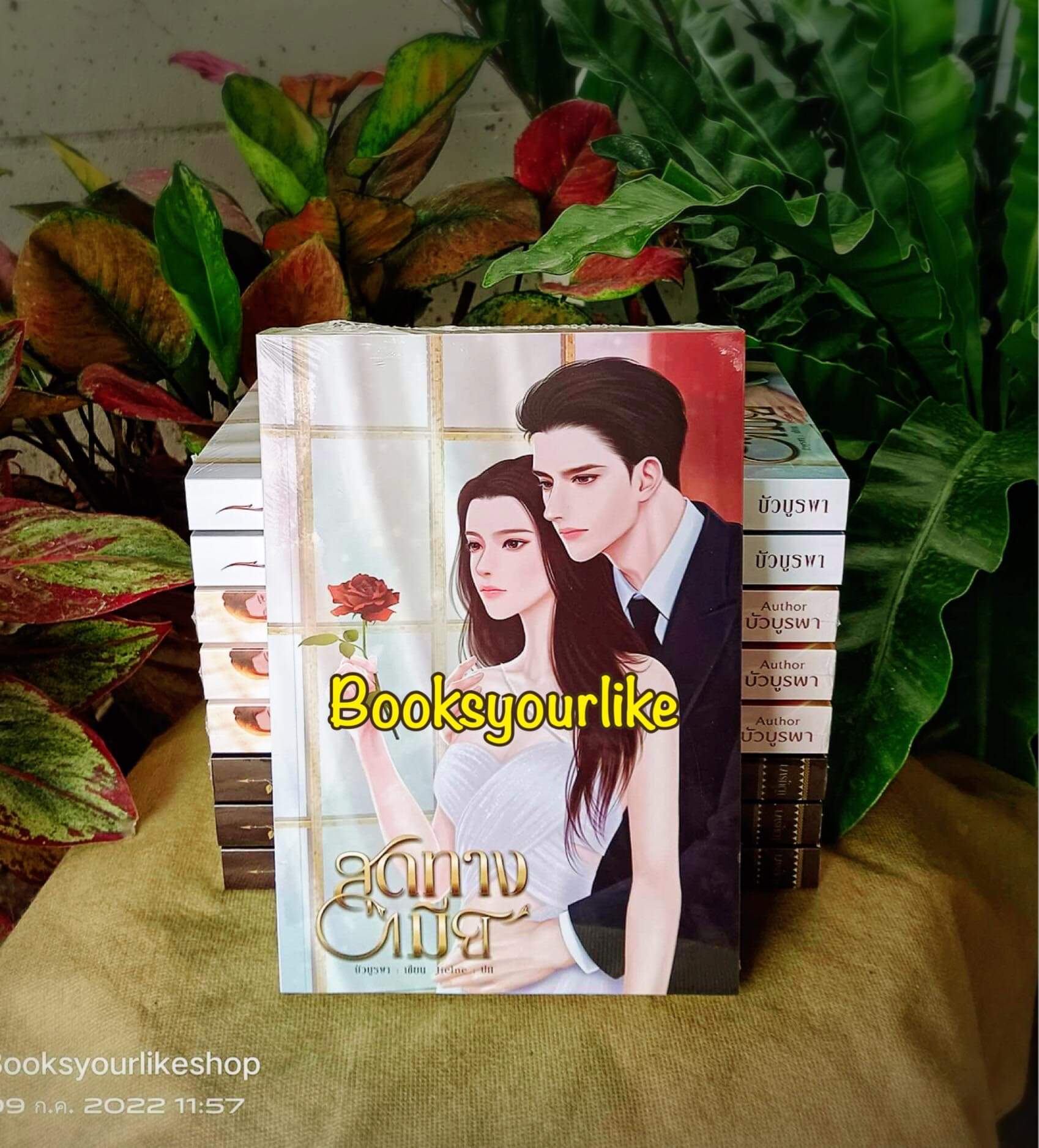 สุดทางเมีย ,ผู้แต่ง,บัวบูรพา,นิยายรักทำมือ แนะนำค่ะ