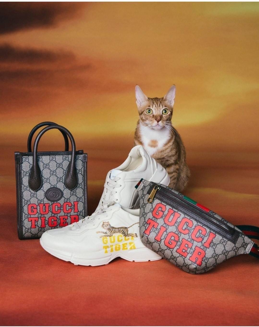 GUCCI Tiger GG mini tote bag ไซส์มินิ ร้อนแรงไฟลุก!! ต้อนรับปีเสืออย่างเป็นทางการ จัดให้แบบเลิศๆ กับกระเป๋าทรงโท้ท วีไอพีพรีเมี่ยมกิ๊ฟ ไซส์มินิ โดดเด่นด้วยฟอนท์ตัวใหญ่ สวยเอกลักษณ์ วัสดุหนังแคนวาสตัดขอบด้วยหนังแท้ ภายในเป็นช่องโล่ง ใส่ของจุกจิกได้ ใส่โทรศ
