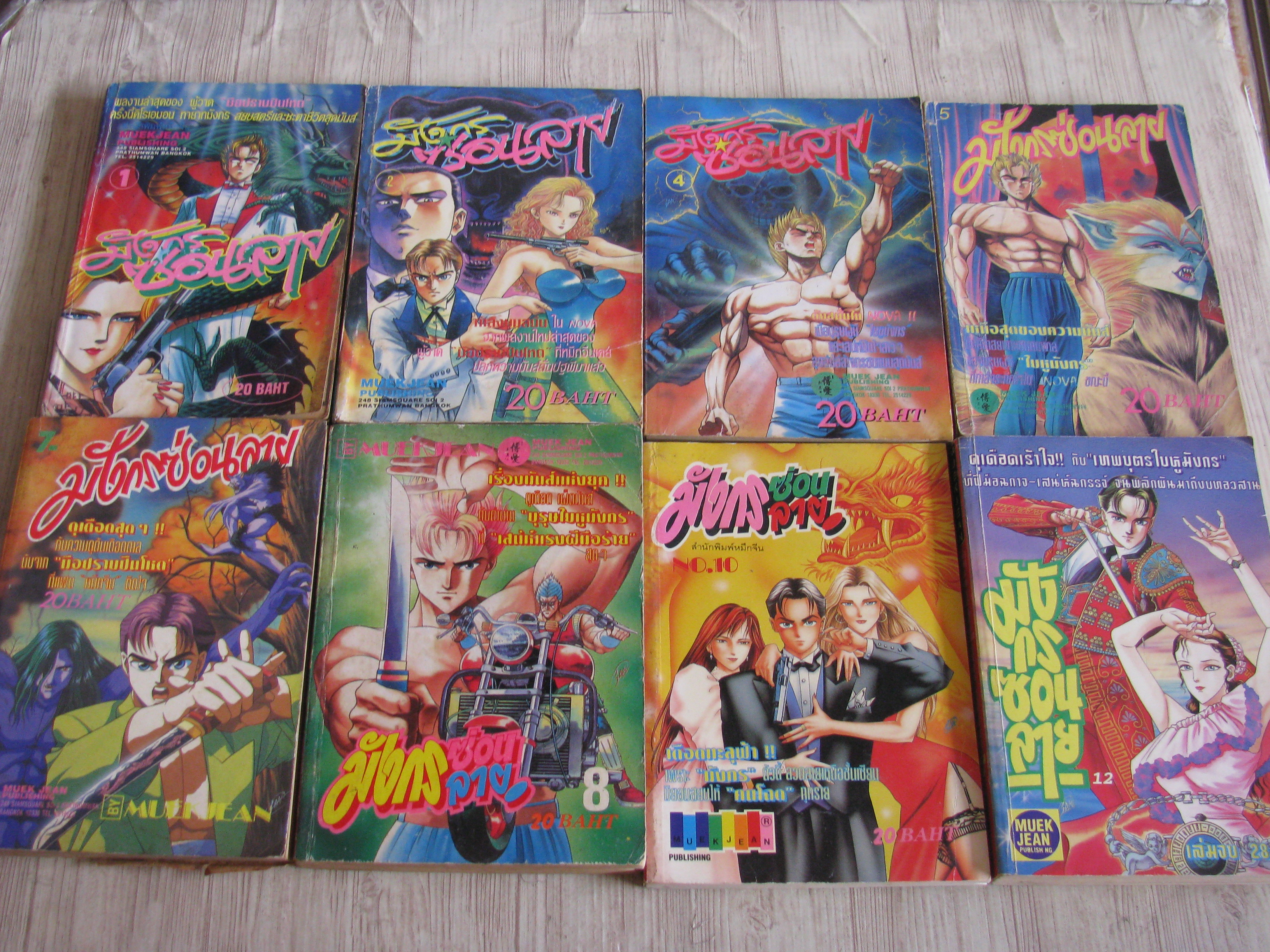 มังกรซ่อนลาย ชุด เล่ม 1,2,4,5,7,8,10,11,12 (12 เล่มจบ) (ชาดเล่ม 3,6,9)