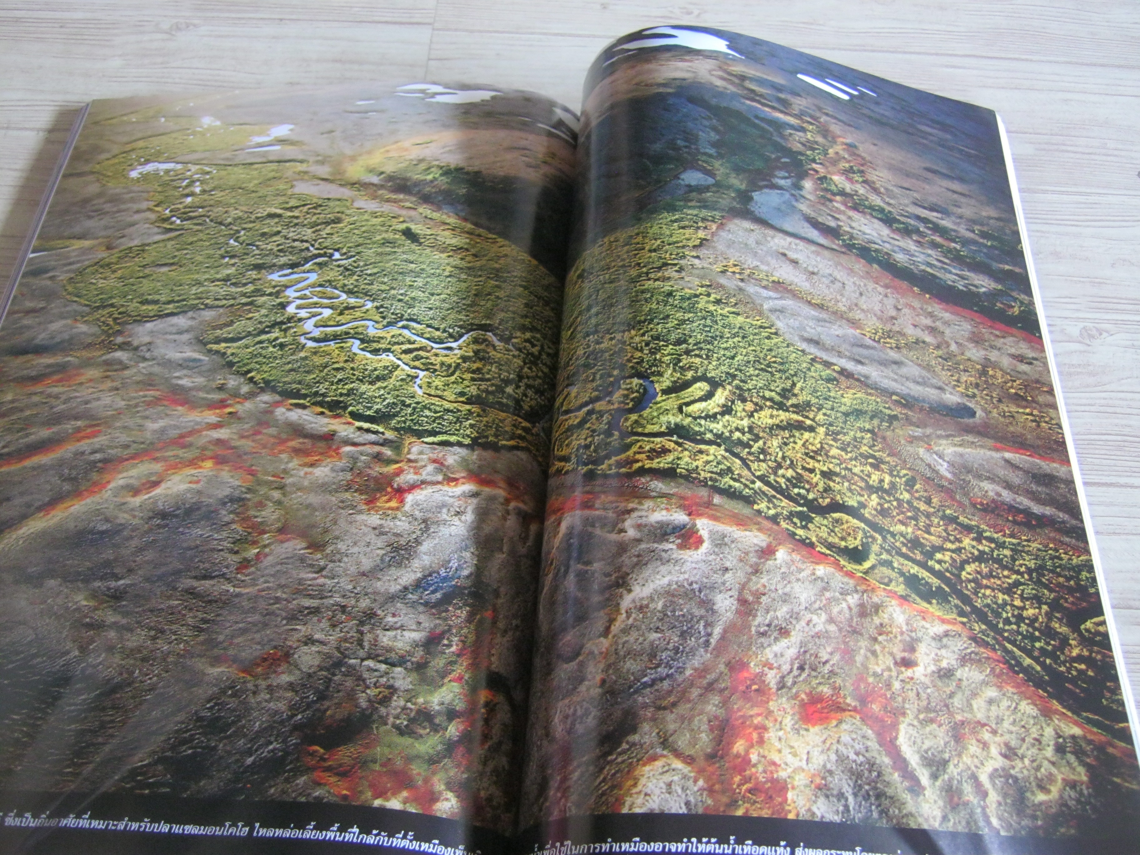 NATIONAL GEOGRAPHIC ฉบับภาษาไทย มกราคม 2554 ประชากรล้นโลก 7 พันล้านคน