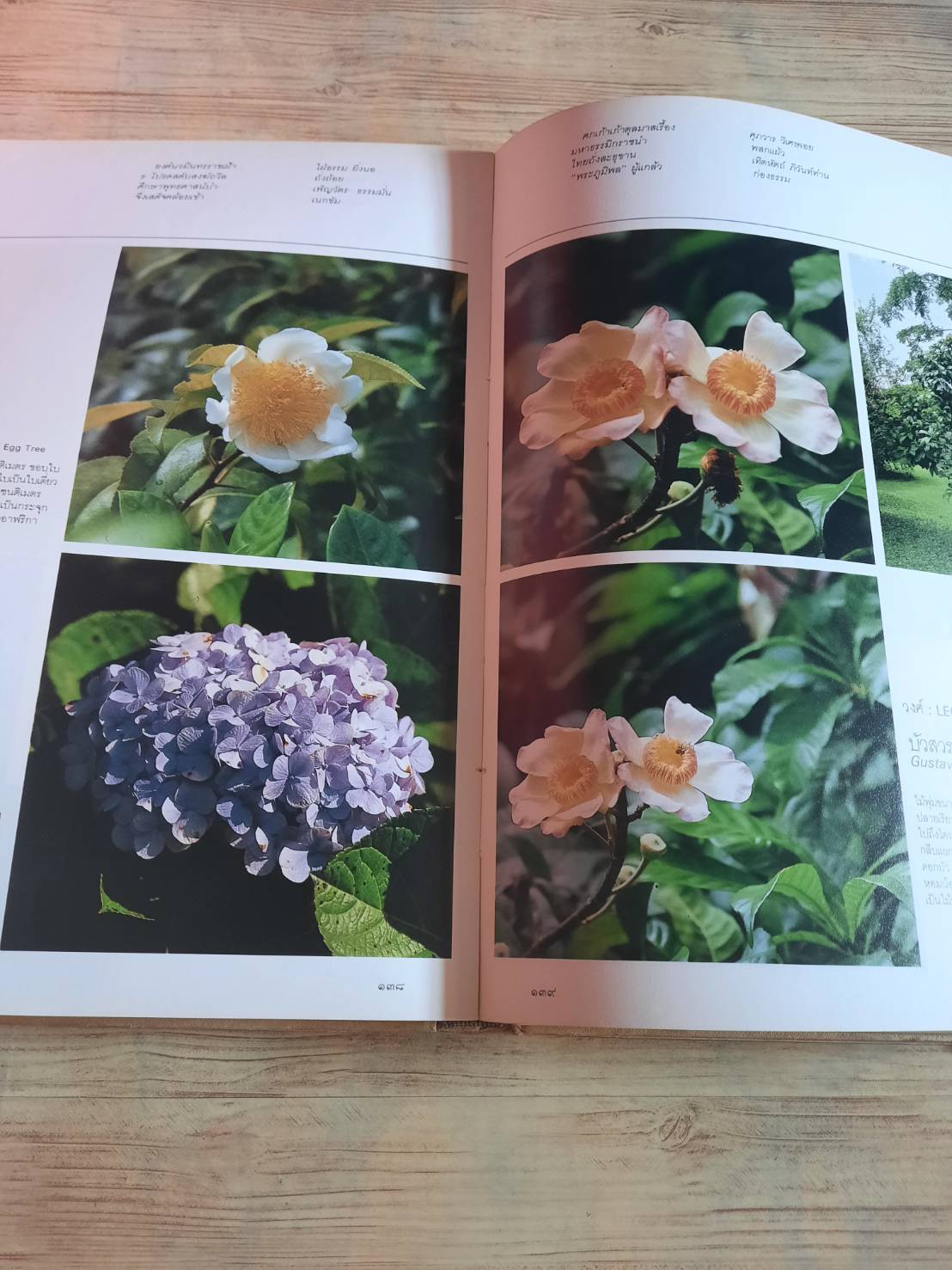 พรรณไม้ในสวนหลวง ร.๙