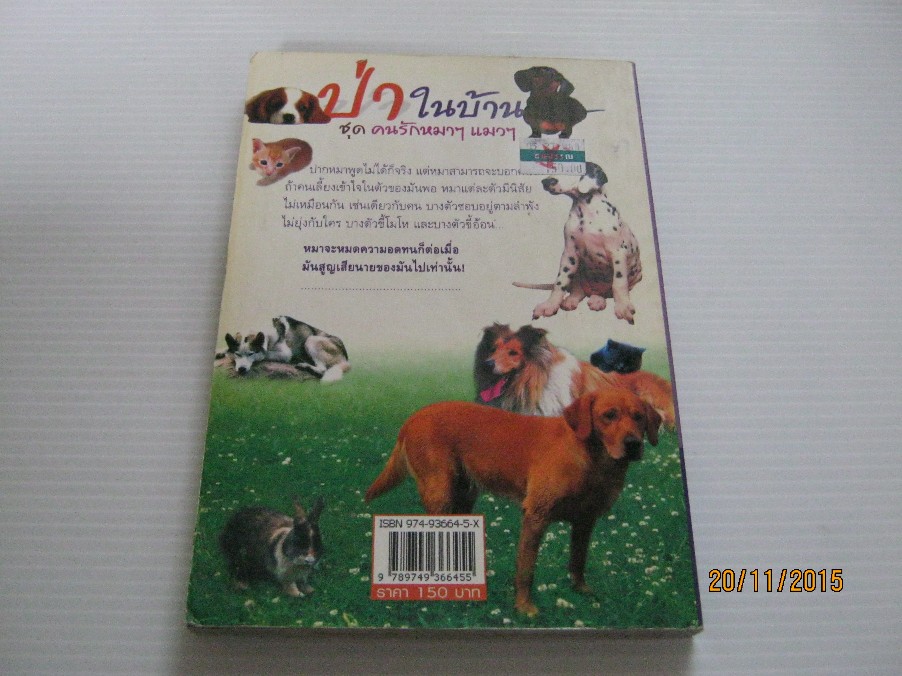 ป่าในบ้าน ชุด คนรักหมา ๆ แมว ๆ ทองทิว สุวรรณฑัต เขียน