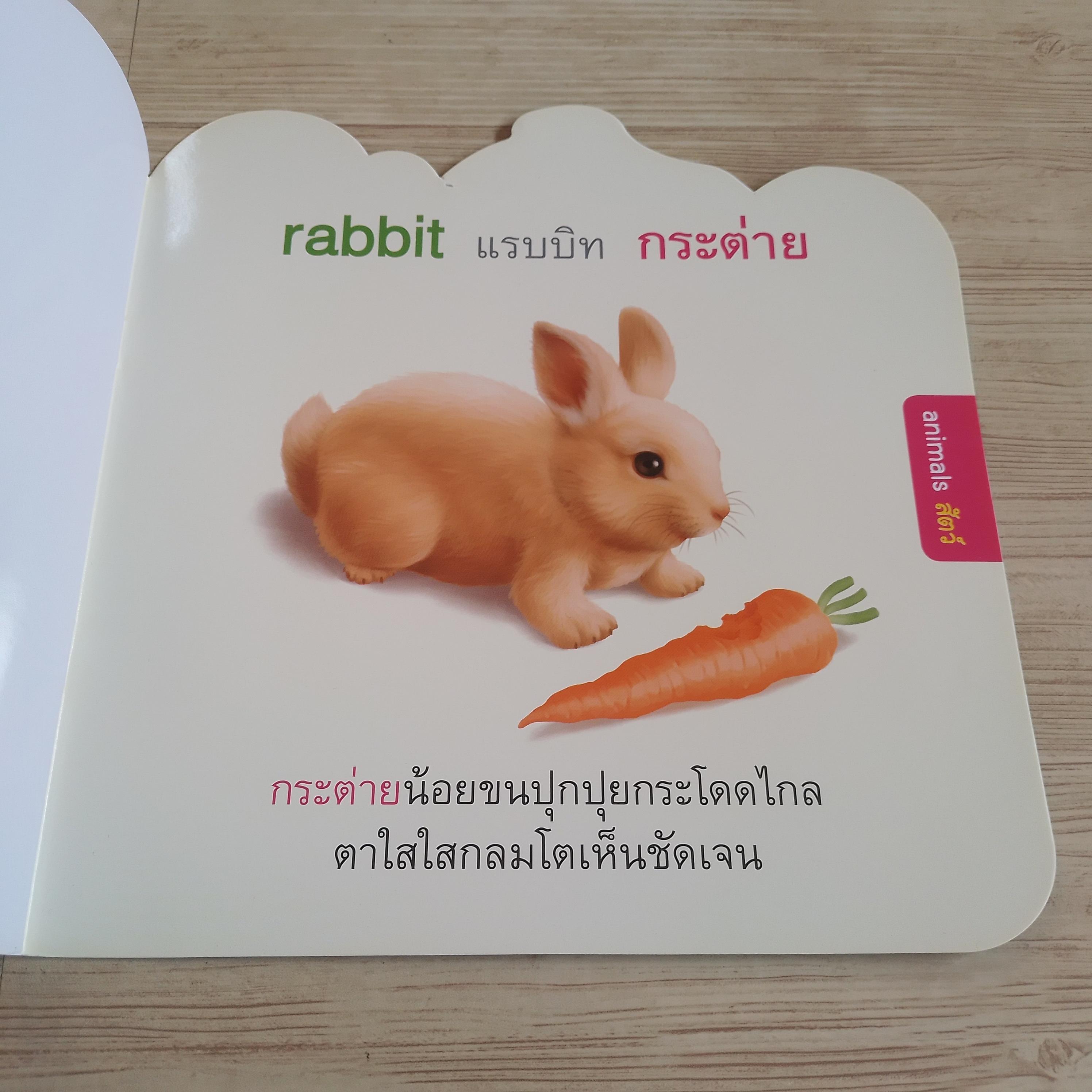 หนูชอบสัตว์น่ารัก (I Like Cute Animals)