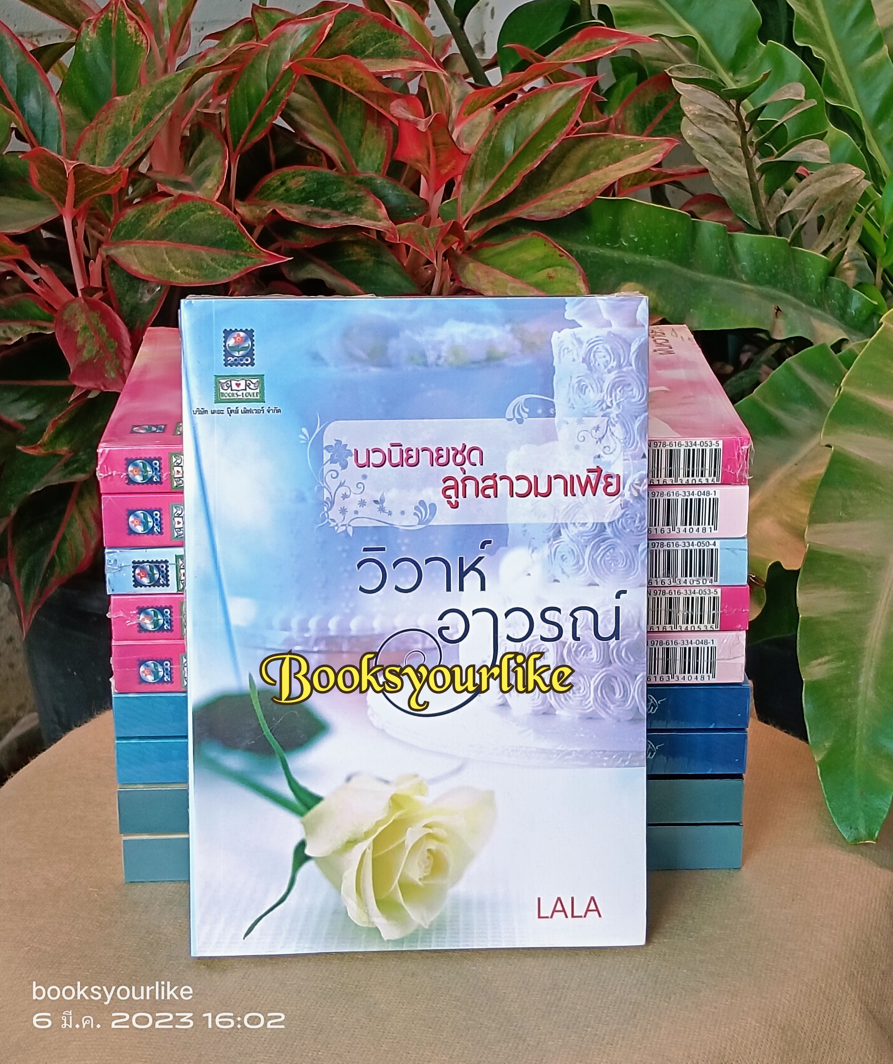โปรส่งฟรี ลูกสาวมาเฟีย สนพ.ดอกหญ้า วิวาห์บัญชา ฝันหวาน วิวาห์อาวรณ์ LALA วิวาห์สะกิดรัก โมริสา หนังสือใหม่ ในซีล