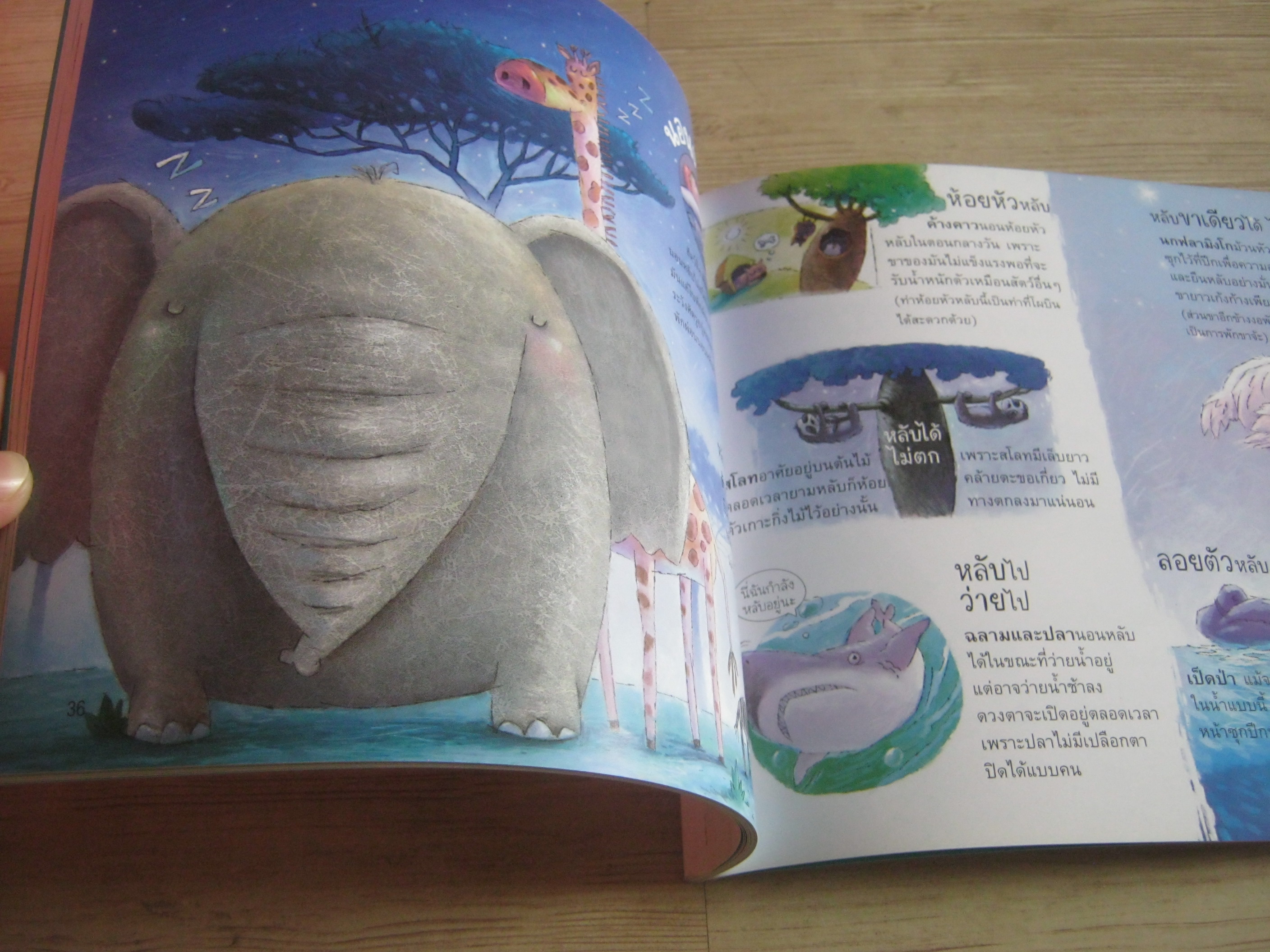 หนังสือชุดวิทยาศาสตร์รุ่นเยาว์ แปลกแต่จริง เอ๊ะ ! คนทำแบบนี้ สัตว์ทำแบบไหน ? รัตนา คชนาท เรื่อง วินิจ ยีสมัน ภาพ