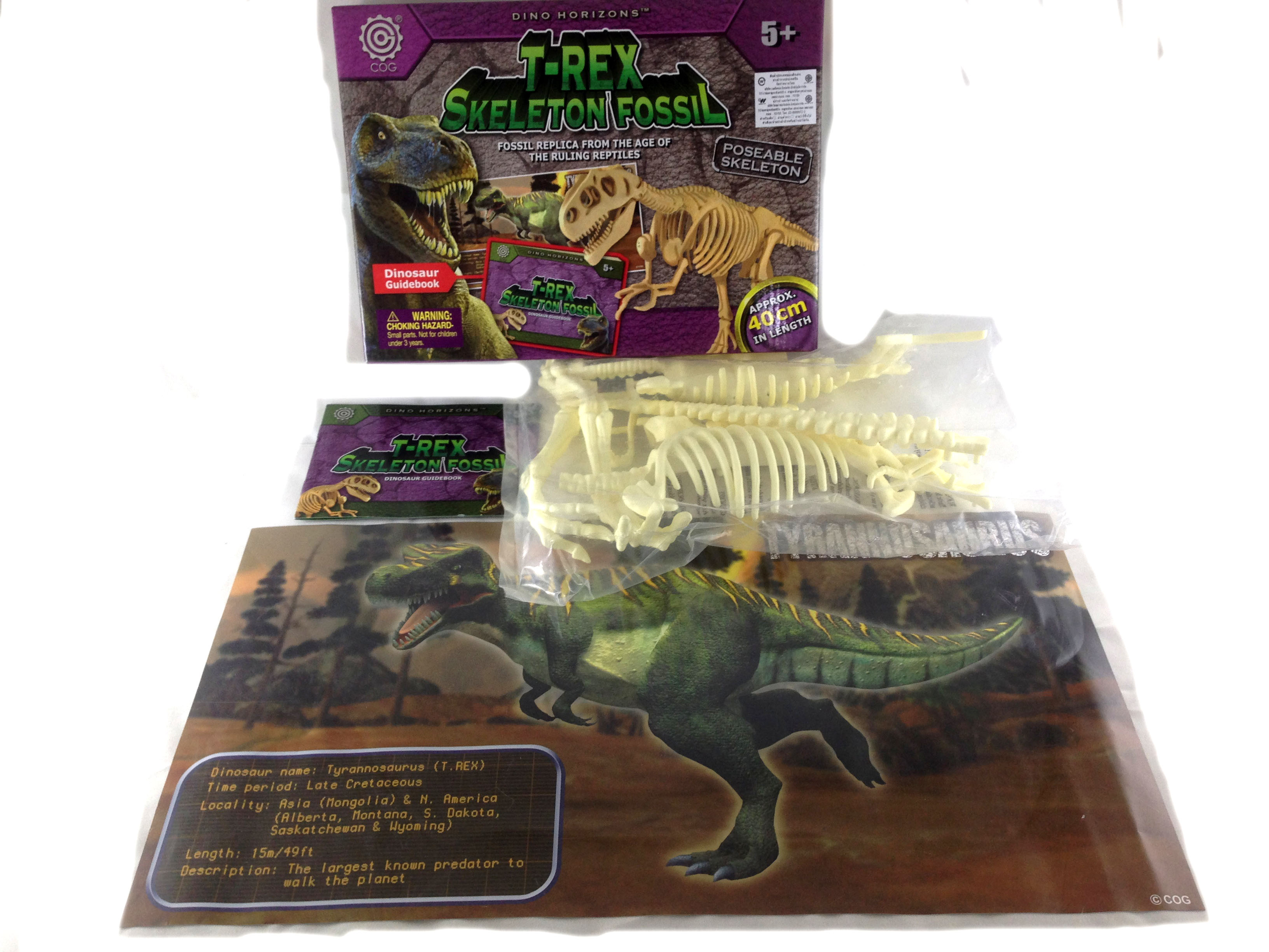 โครงกระดูกไดโนเสาร์ขนาดเล็ก(Dino Horizon)