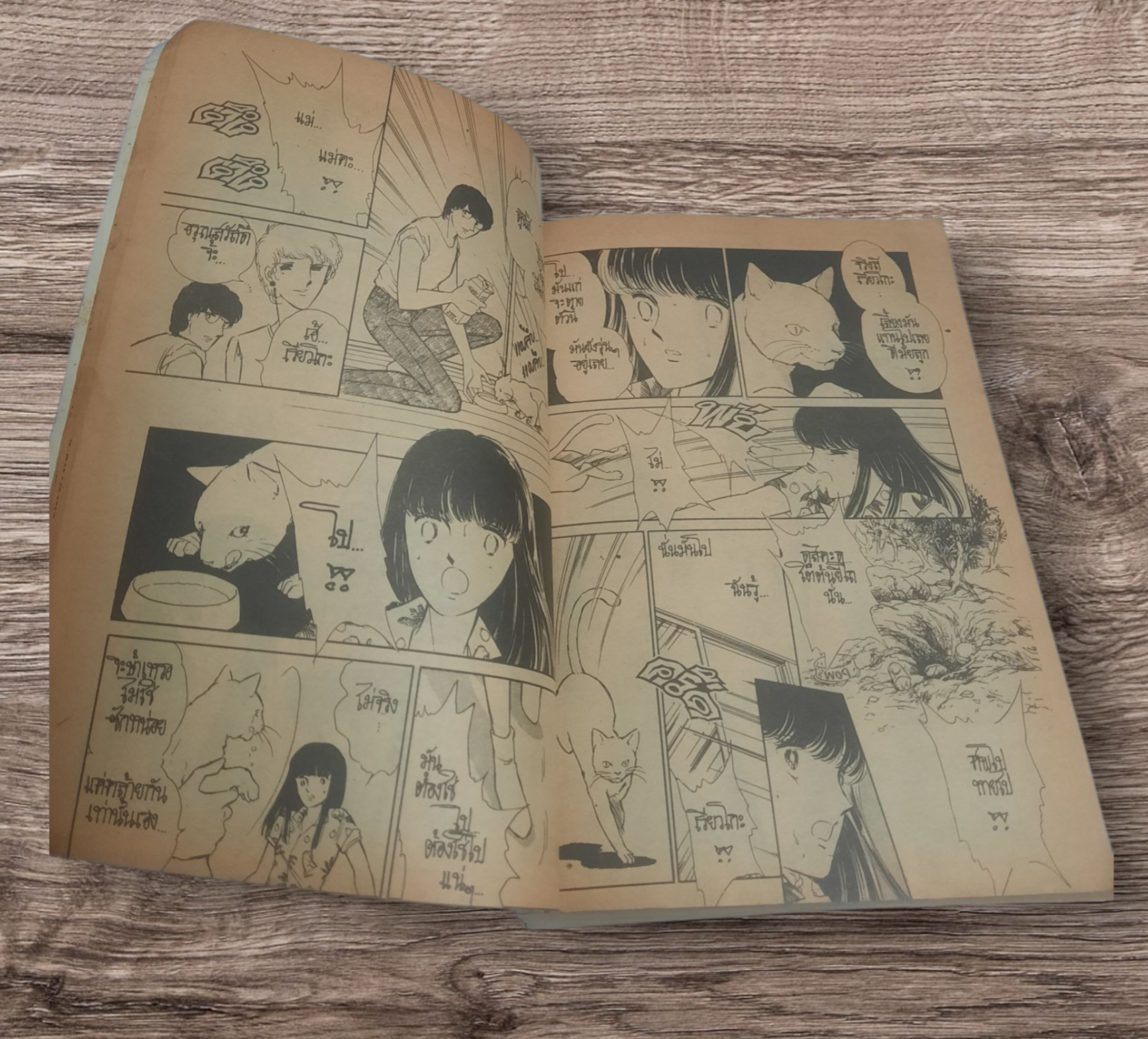 ภูตรักวิญญาณแค้น เล่มเดียวจบ Chie Shinohara เขียน***สินค้าหมด***