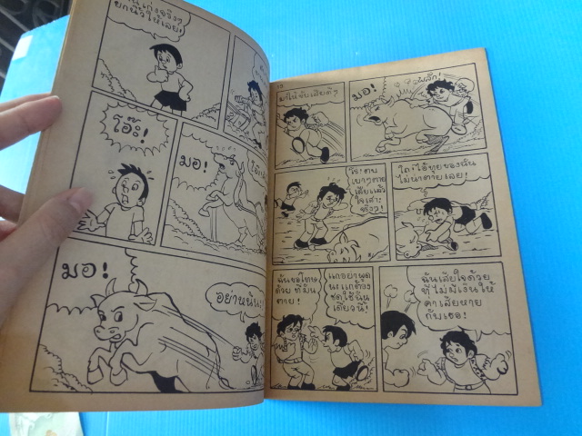 เจ้าชายผู้ทรงพลัง (กระดาษหน้าปกหลุด)