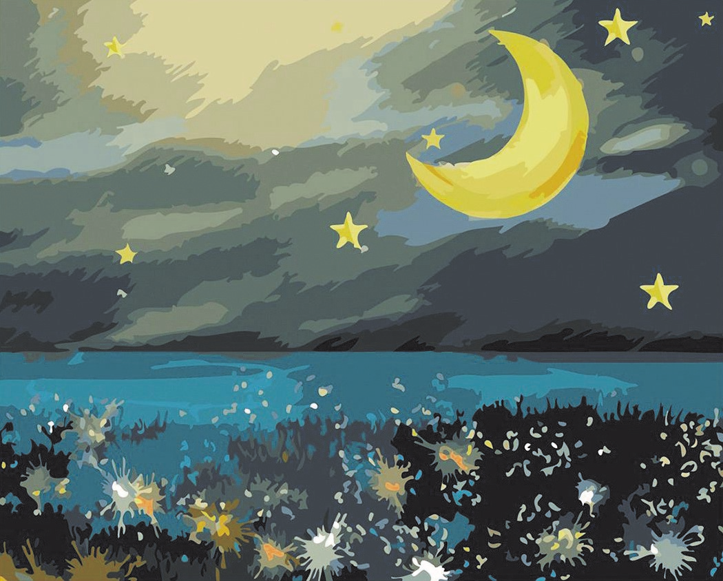 CE4673 ภาพระบายสีตามตัวเลข "จันทร์เสี้ยวเหนือทุ่งดอกไม้"