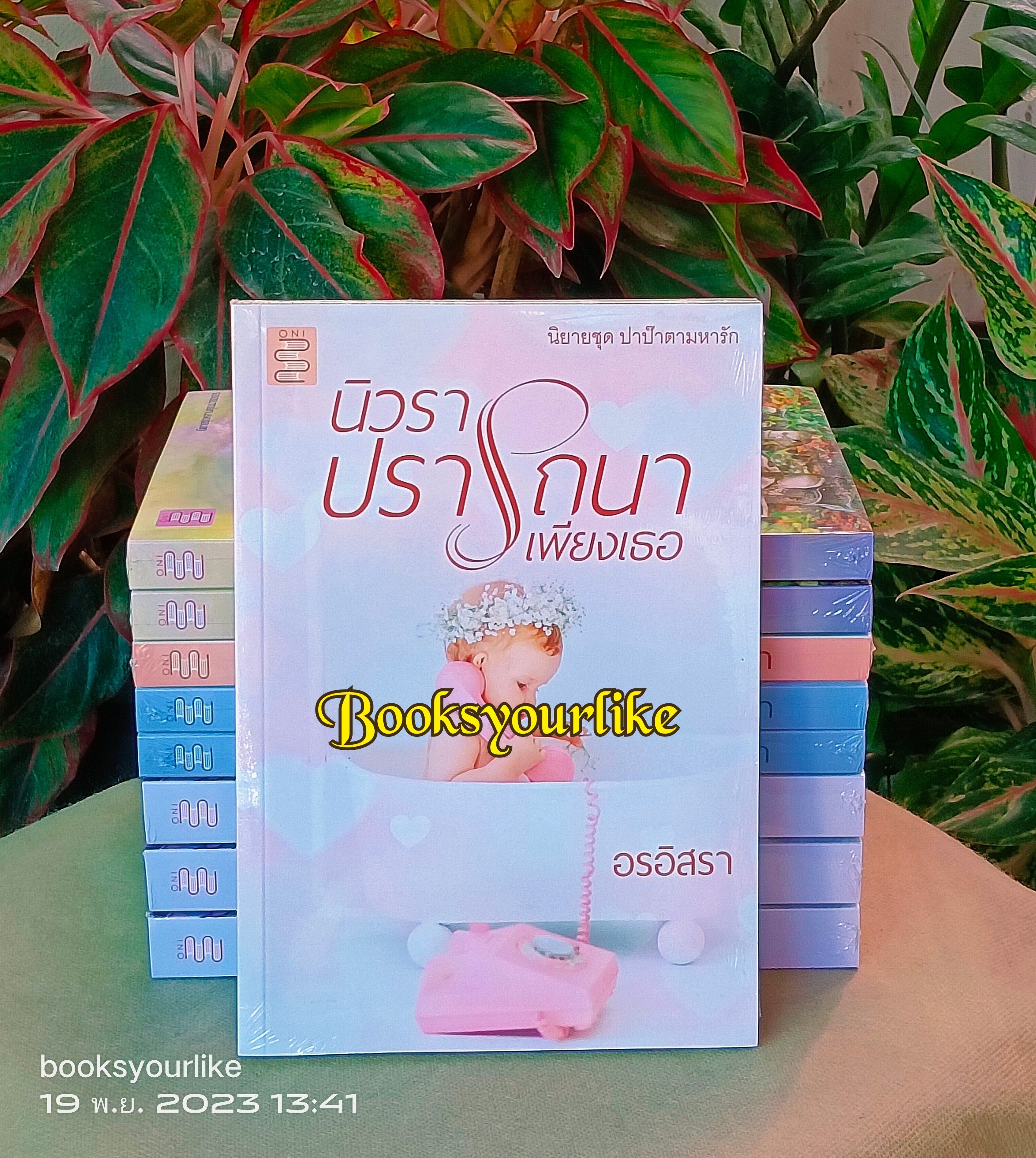 ส่งฟรี,นิวราปรารถนาเพียงเธอ,นิยายชุด,ปาป๊าตามหารัก ลำดับที่ 3 , ผู้แต่ง อรอิสรา,นิยายรักทำมือ ,แนะนำค่ะ***มีตำหนิสันย่นจากขนส่ง***
