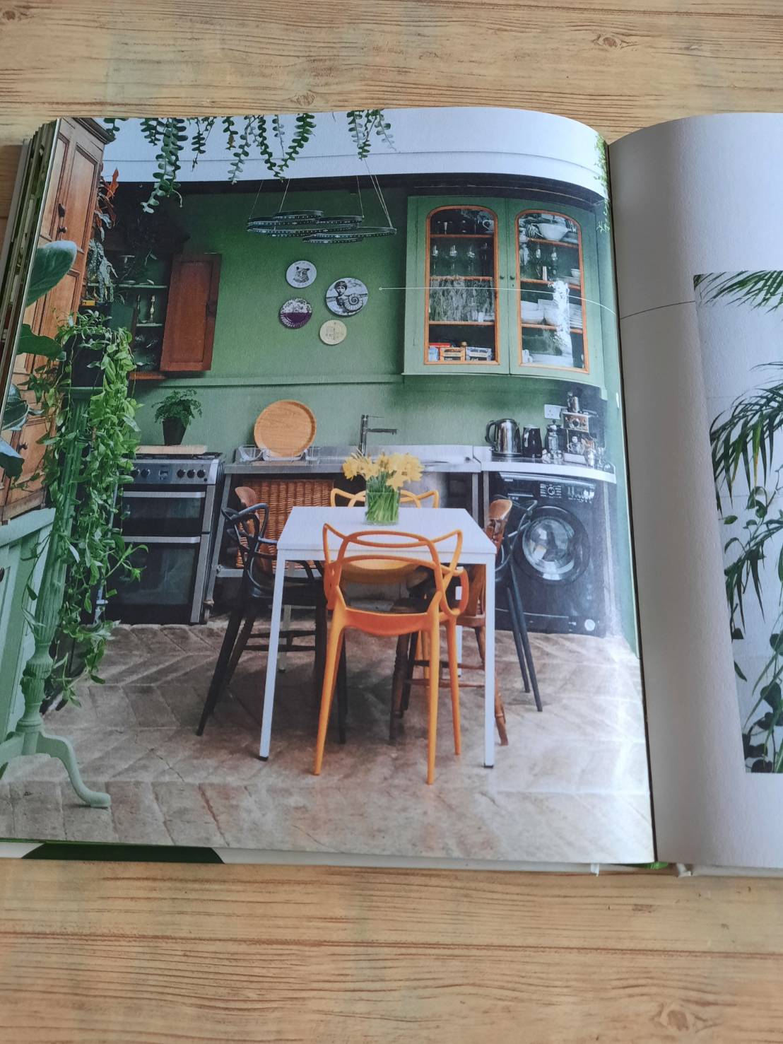 The Leaf Supply Guide to Greating Your Indoor Jungle By Lauren Comilleri + Sophia Kaplan (ปกแข็ง)