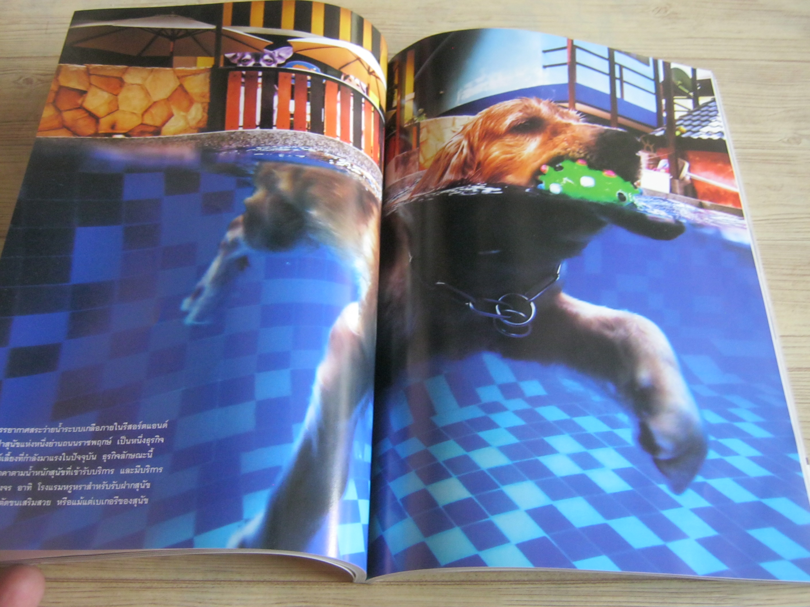 NATIONAL GEOGRAPHIC ฉบับภาษาไทย กันยายน 2559 บอกลาดวงตามืดบอด