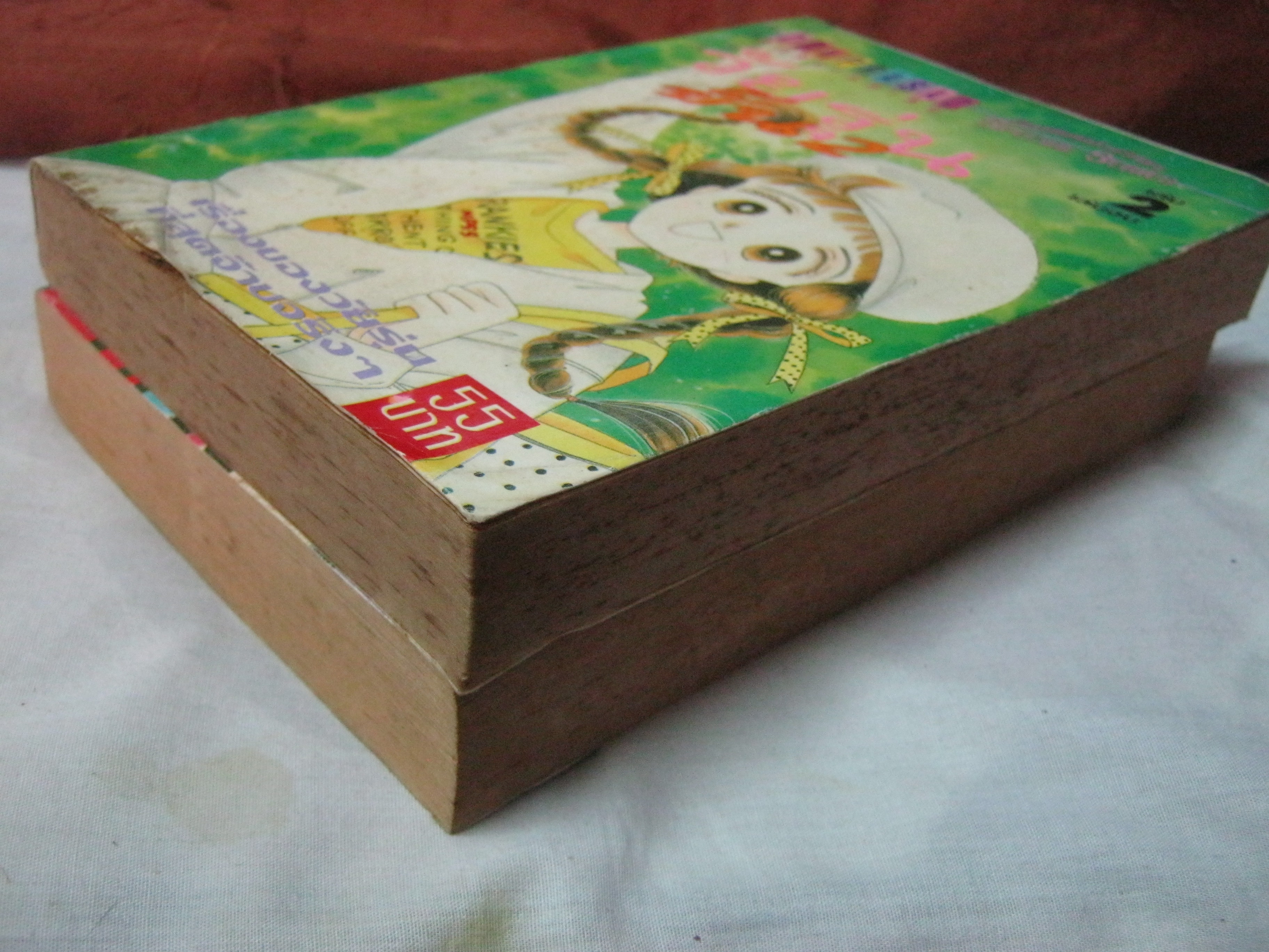วัยรุ่นขั้น 2 ครบชุด 2 เล่มจบ ( คนเขียนหน้าปกตนละคนกับคนเขียนในเล่ม )