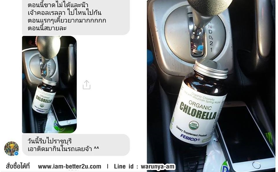 รีวิว สาหร่ายคลอเรลล่า