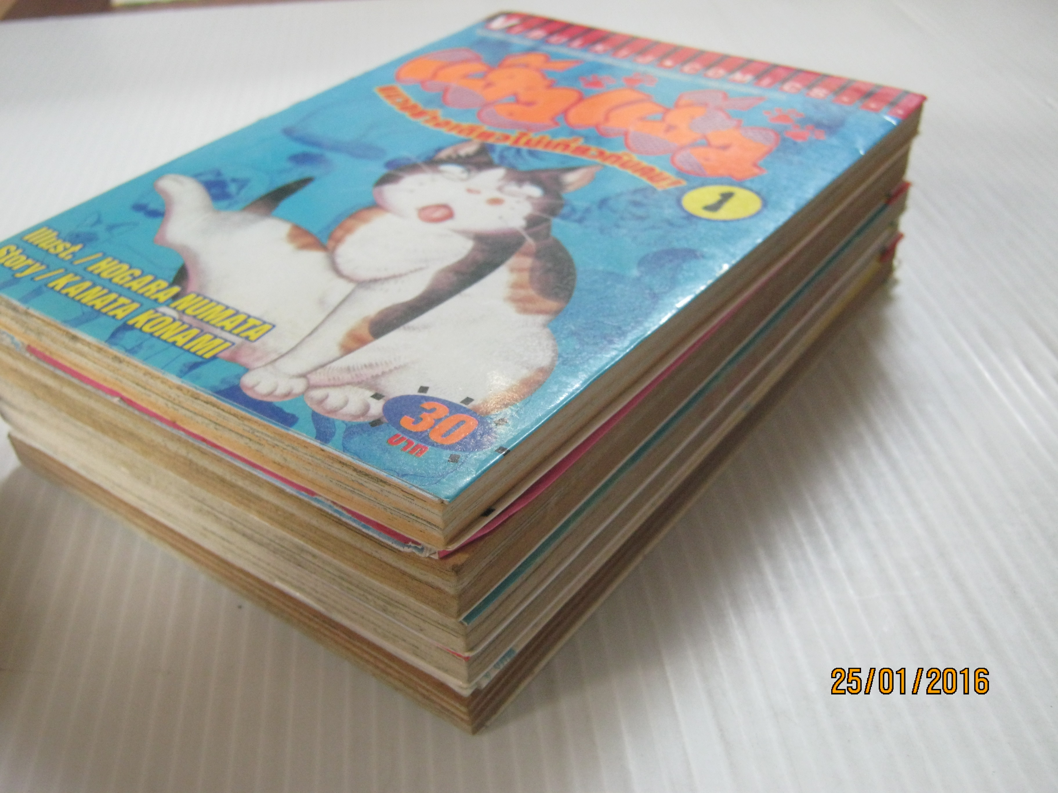 แง้วแง้ว แมวอย่างเดียวไม่เกี่ยวกับคน ! ชุด เล่ม 1,2,4,5,7 Hogara Numata & Kanata Konami เขียน