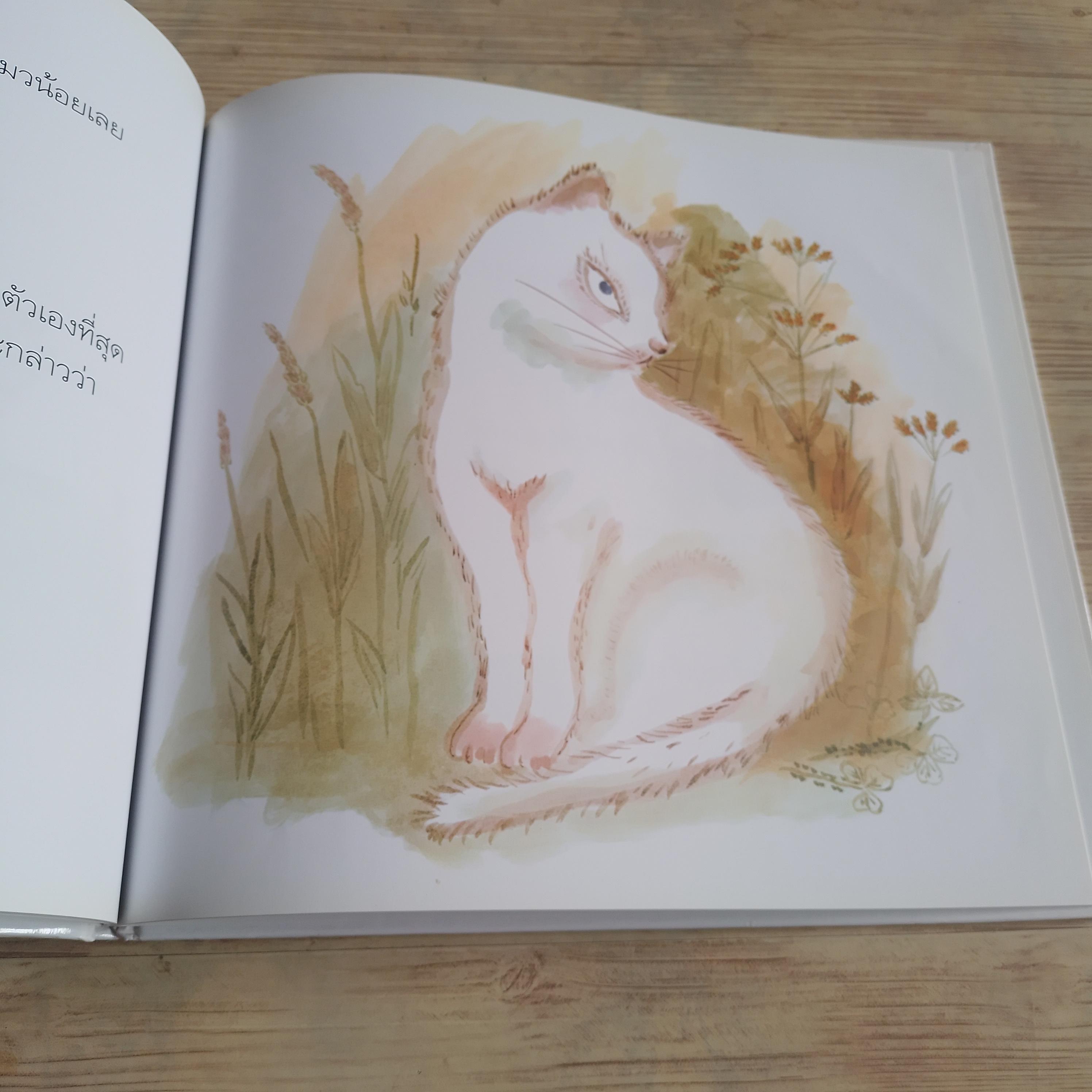 แมวน้อย ๑๐๐ หมื่นชาติ โยโกะ ซาโนะ พรอนงค์ นิยมค้า แปลและเรียบเรียง***สินค้าหมด***