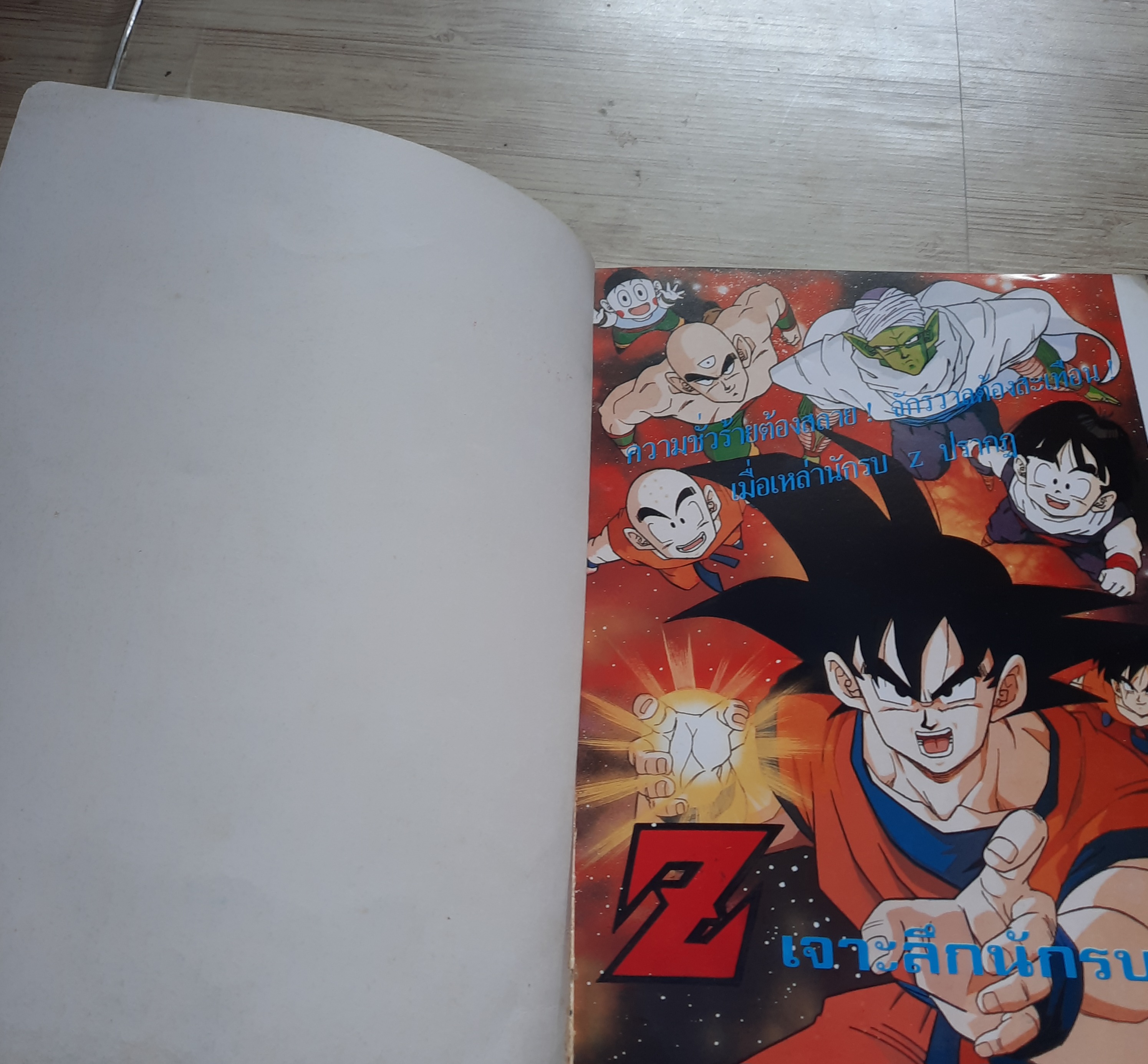 หนังสือรวมภาพ DRAGONBALL Z (เล่มใหญ่)