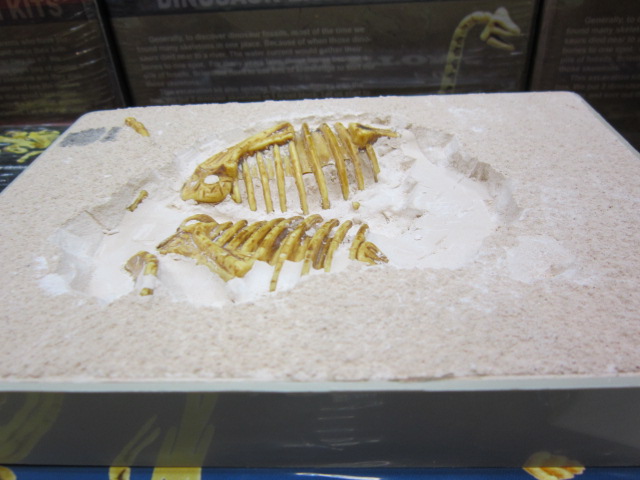 ชุดขุดฟอสซิลDig it Twice (แบบเล่นสองรอบ ขุดแล้วนำมาประกอบเป็นโมเดลได้)