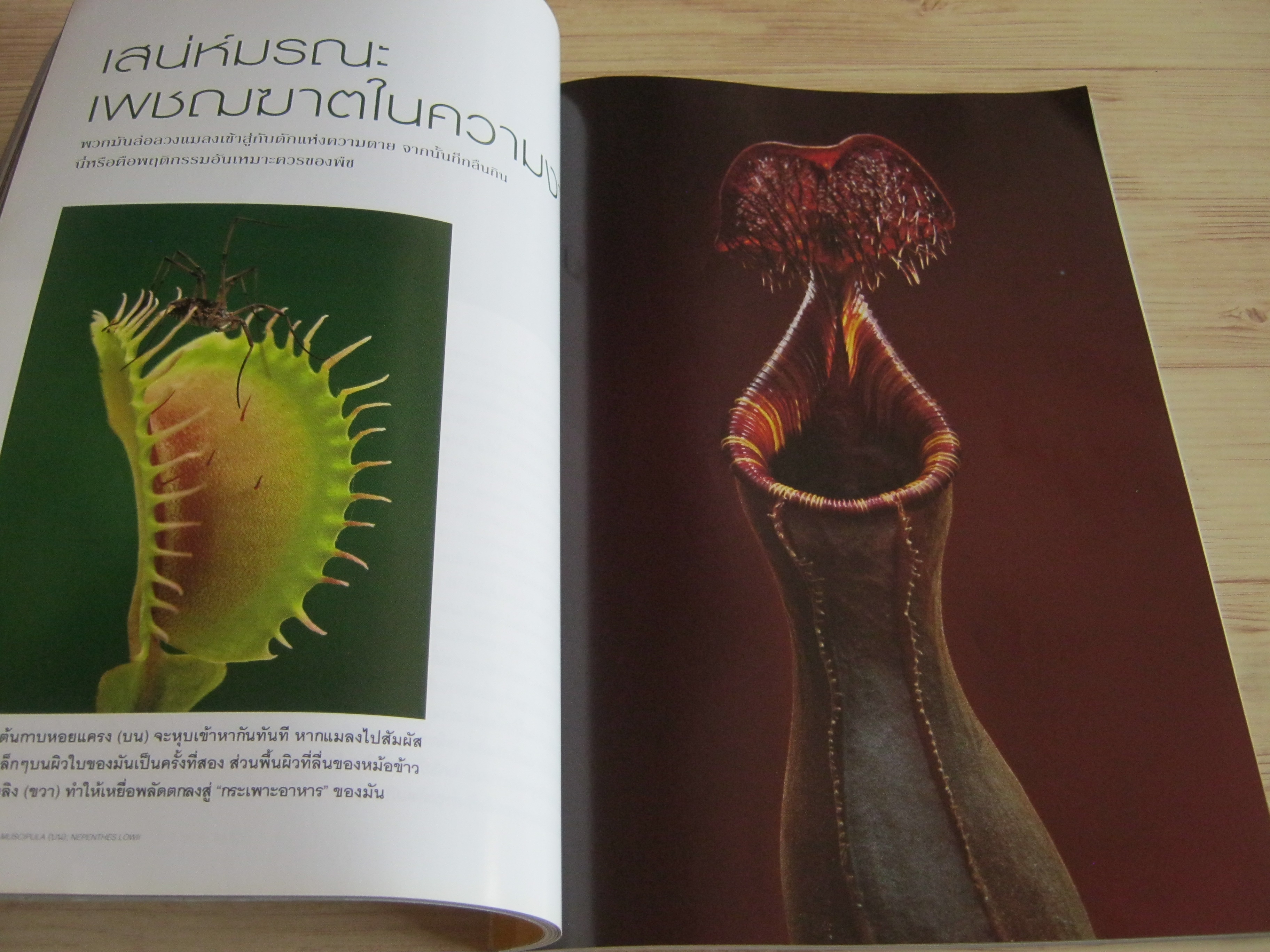 NATIONAL GEOGRAPHIC ฉบับภาษาไทย มีนาคม 2553 เมื่อชาละวันครองพิภพ