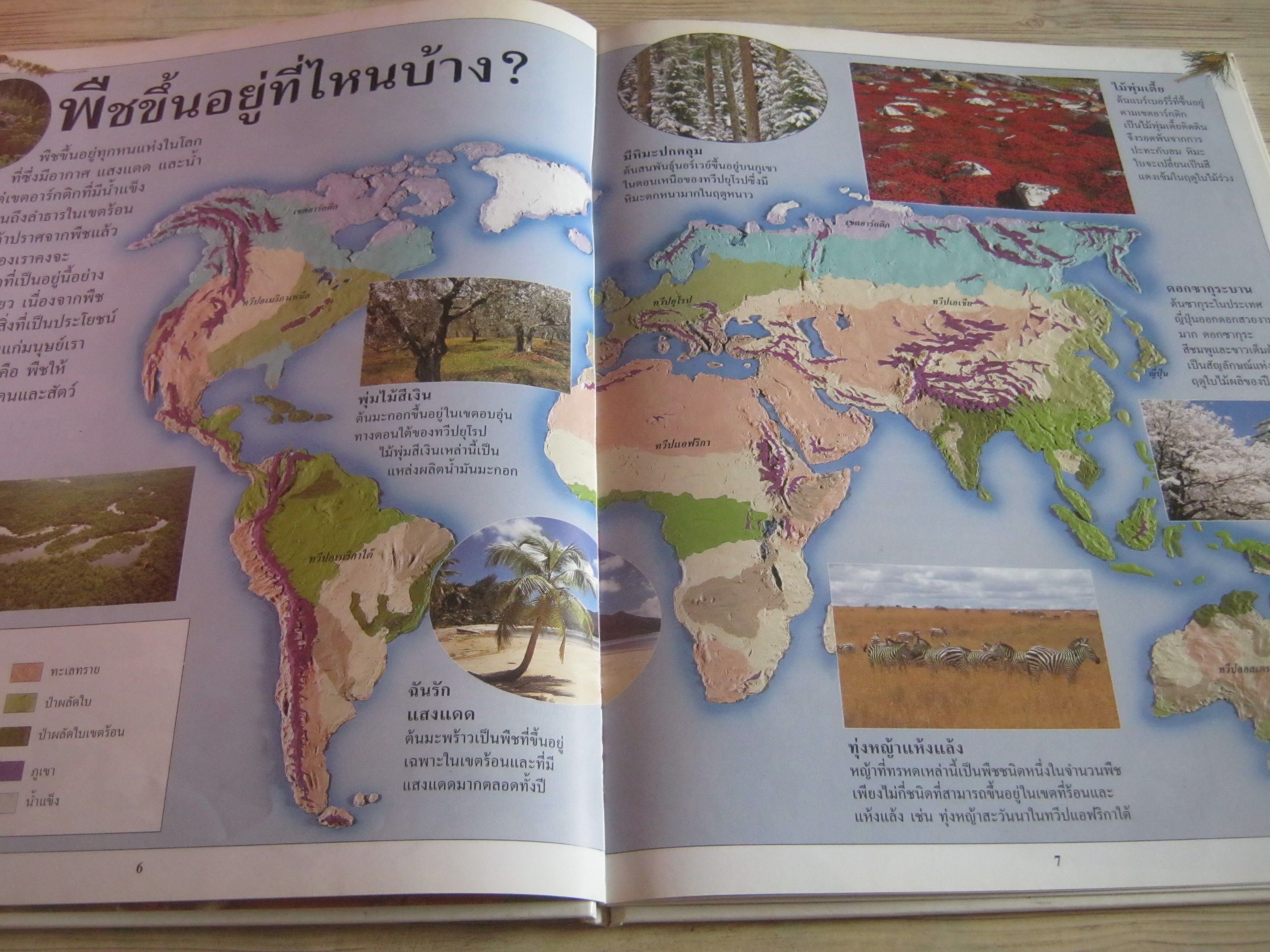 หนังสือเด็กรักลูก ห้องสมุดแสนสนุก เรื่องของพืช ปิยะ เฉลิมกลิ่น แปล