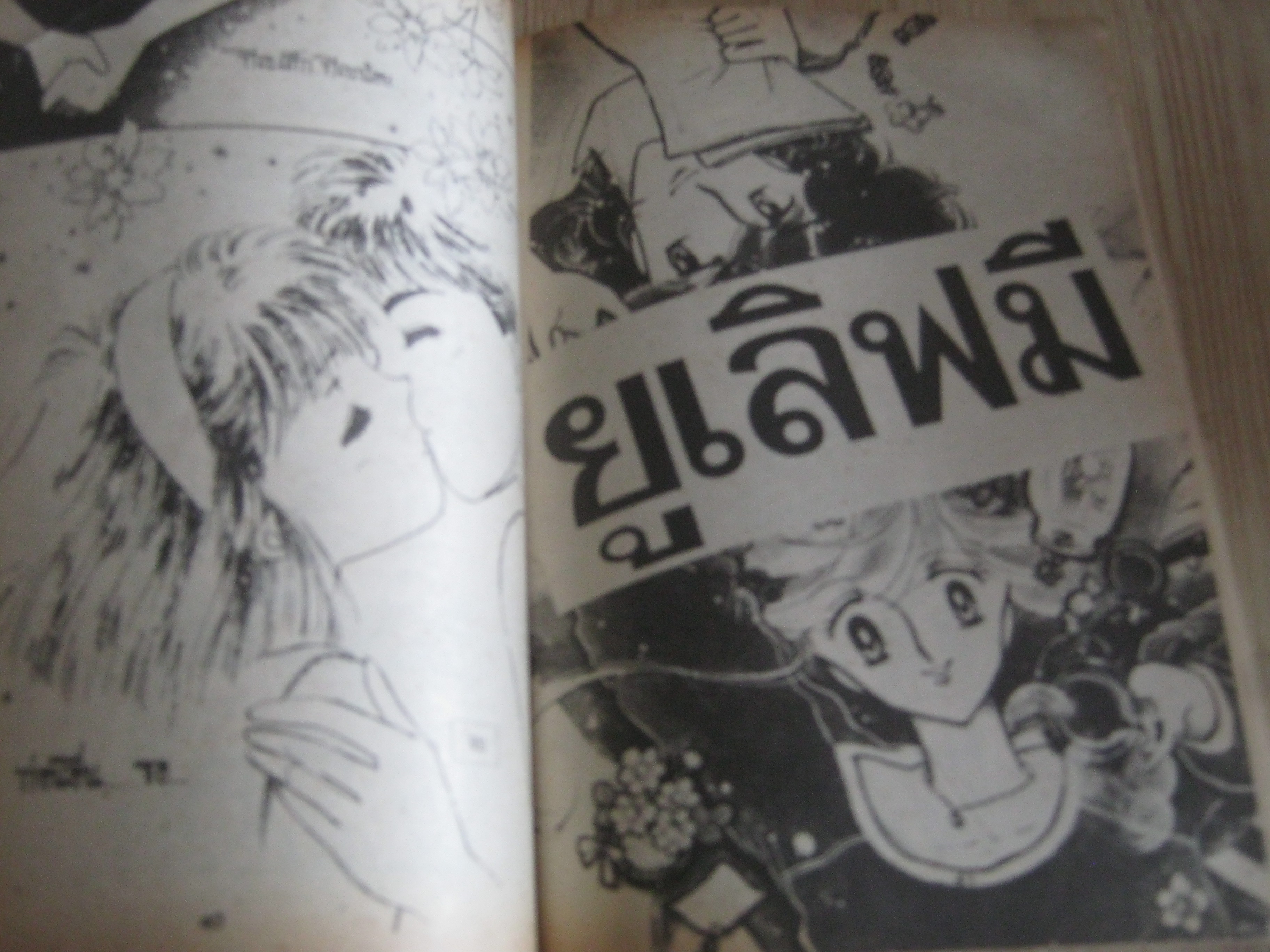 เผลอรักปักหัวใจ เล่มเดียวจบ Emiko Sugi เขียน