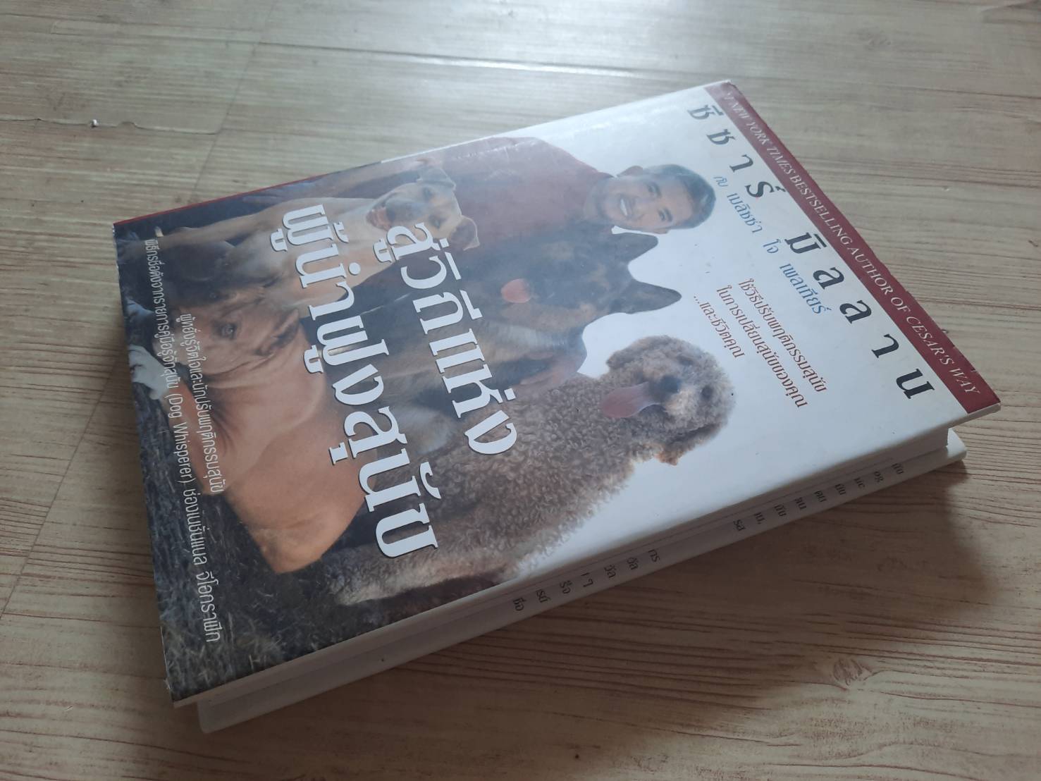 สู่วิถีแห่งผู้นำฝูงสุนัข ซีซาร์ มิลลานและเมลิซซ่า โต เพลเทียร์ เขียน รมย์บุลิน นิมิต แปล***สินค้าหมด***