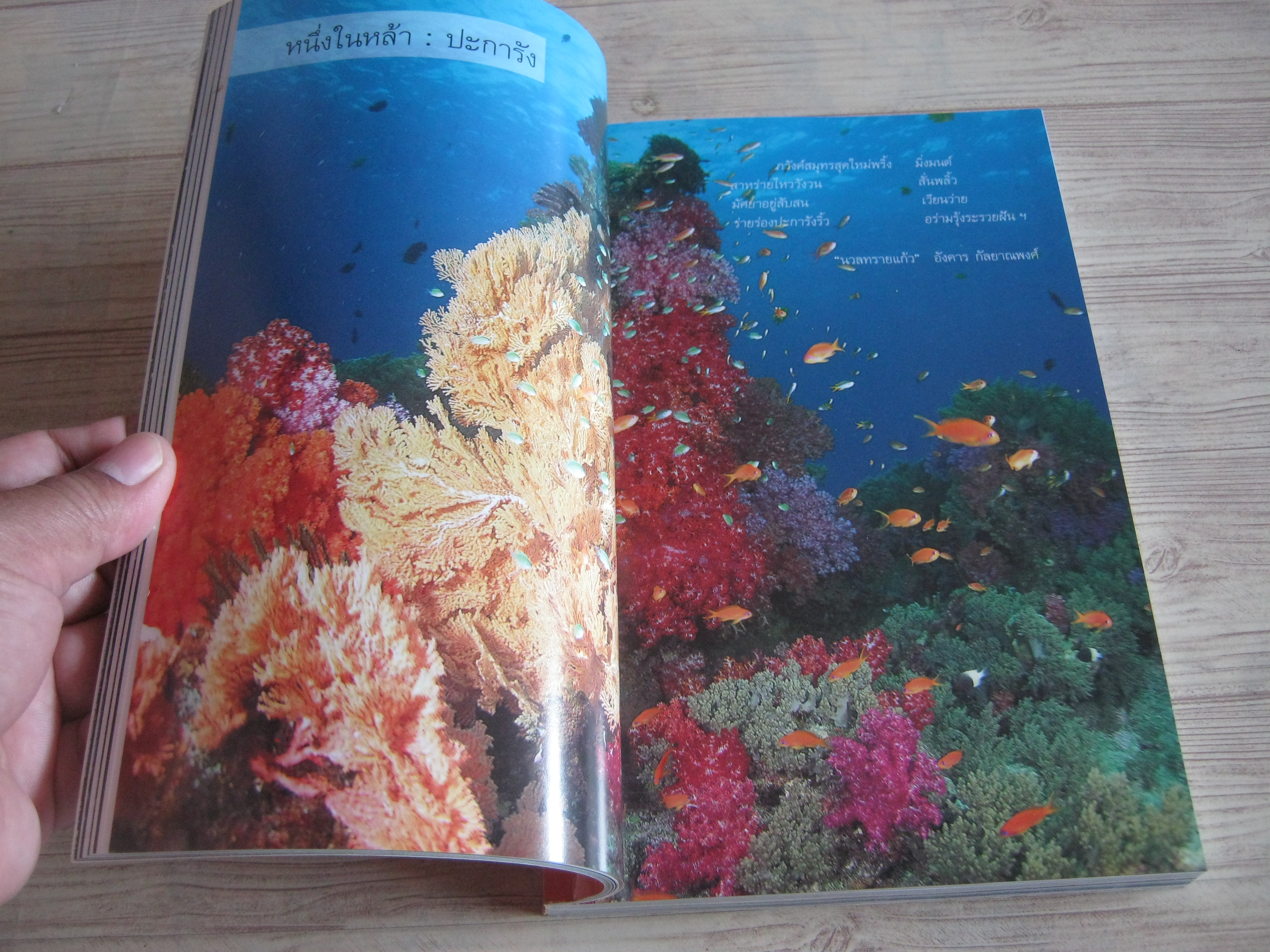 คู่มืออันดามัน ปะการัง พังงา สึนามิ โดย ธรณ์ ธำรงนาวาสวัสดิ์และศักดิ์อนันต์ ปลาทอง
