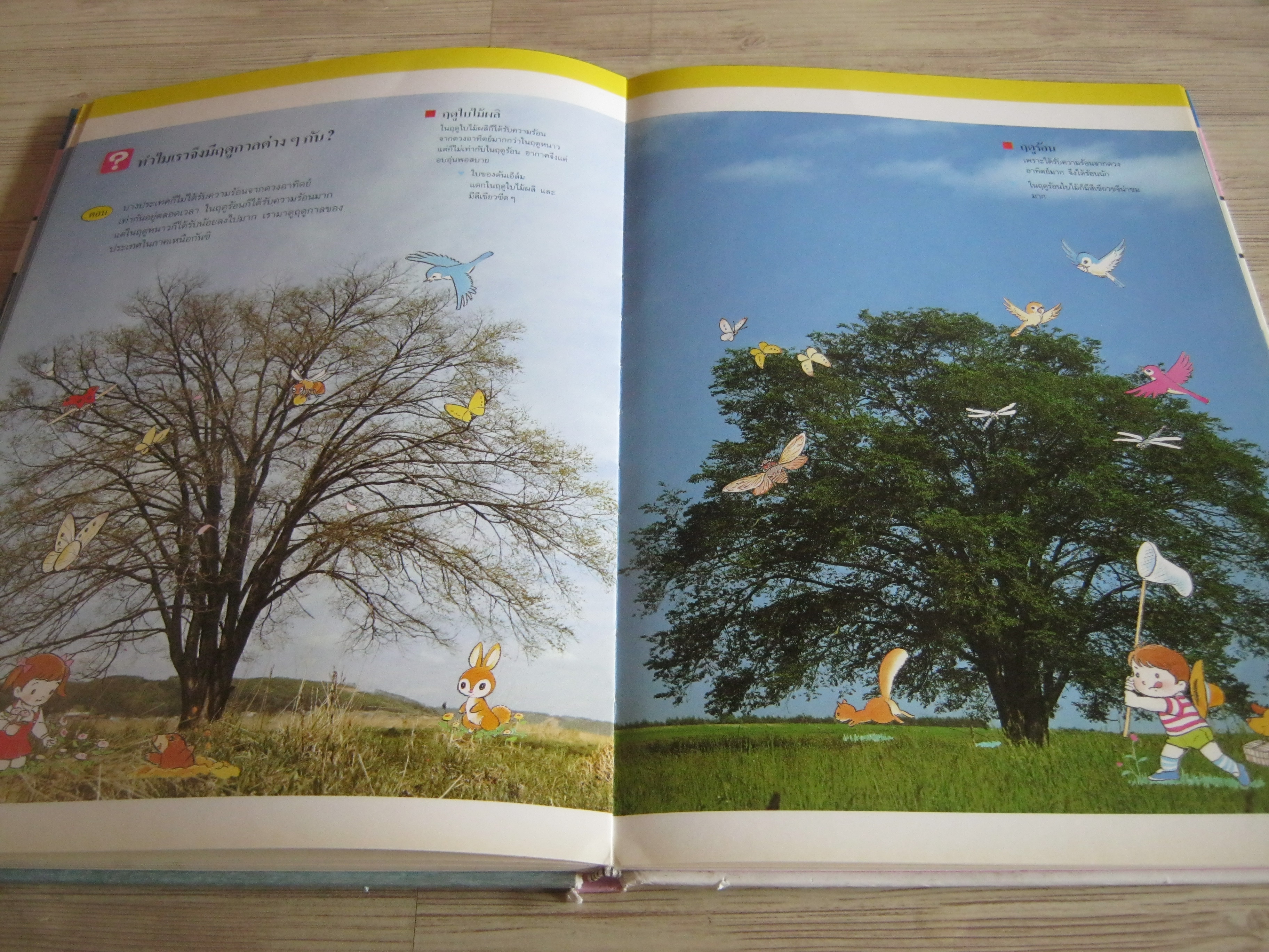 หนังสือชุดความรู้เบื้องต้นสำหรับเด็ก ธรรมชาติของลมฟ้าอากาศ วิชัย อภัยสุวรรณและสมบัติ ภู่กาญจน์ แปล