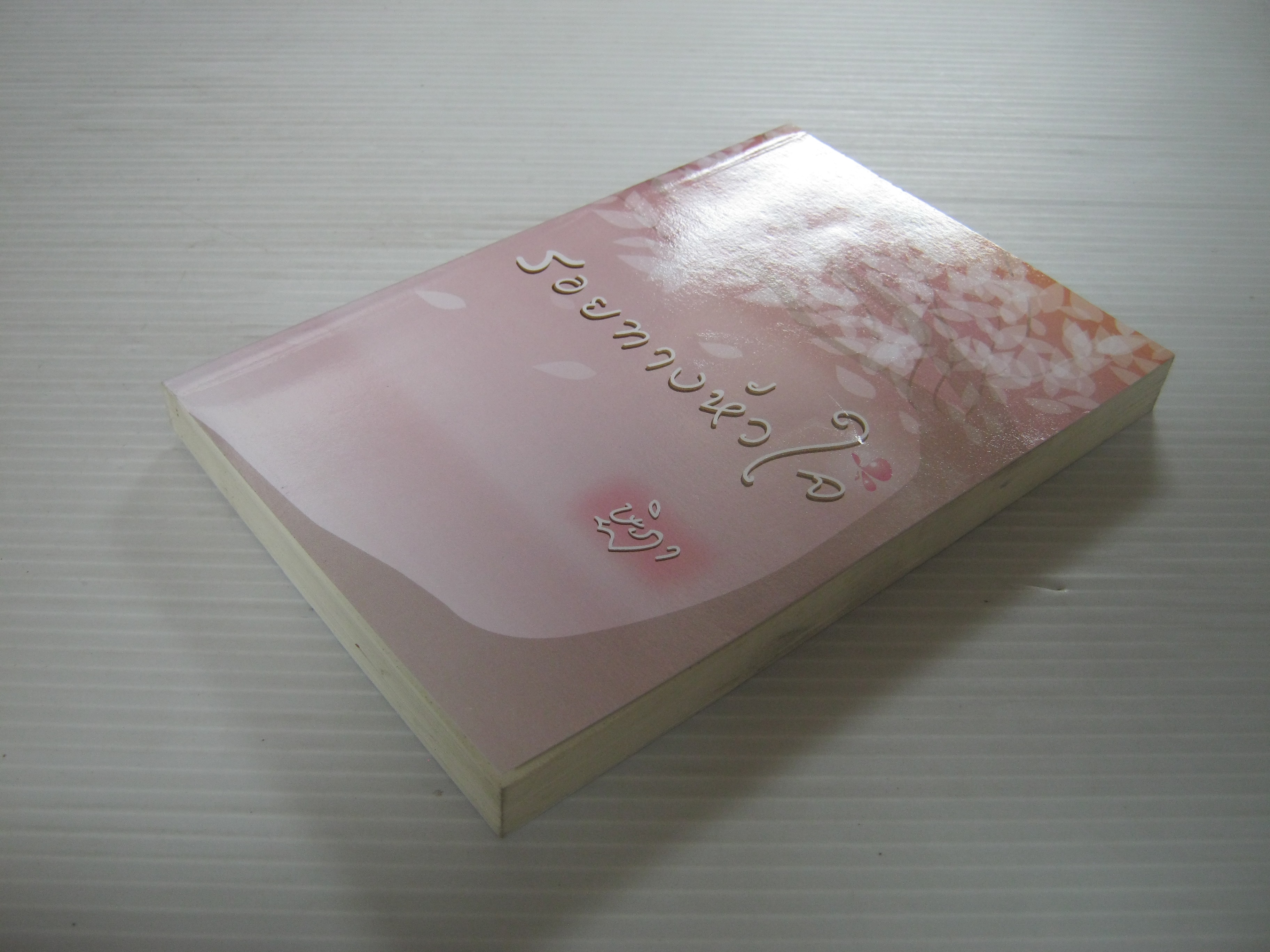 รอยทางหัวใจ ษิฏา เขียน