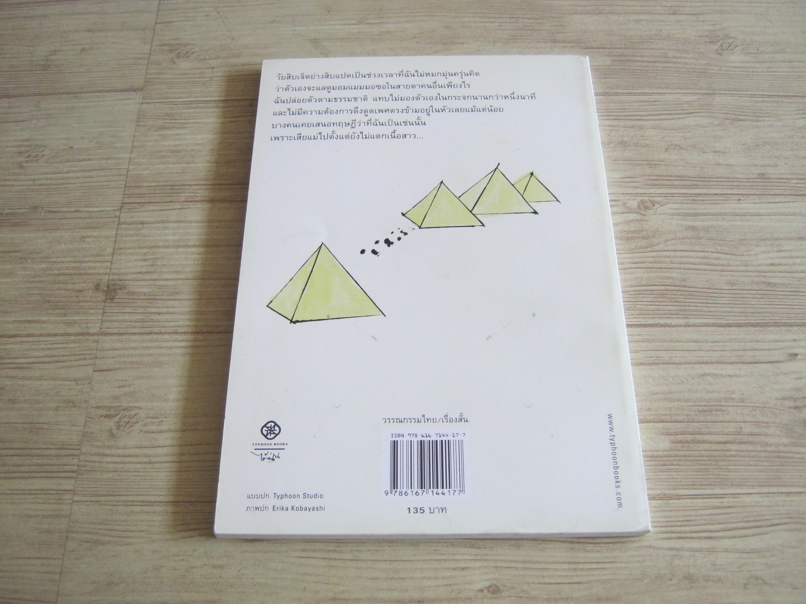 พาไรโดเลียรำลึก ปราบดา หยุ่น เขียน เอริกะ โคบายาชิ ภาพ