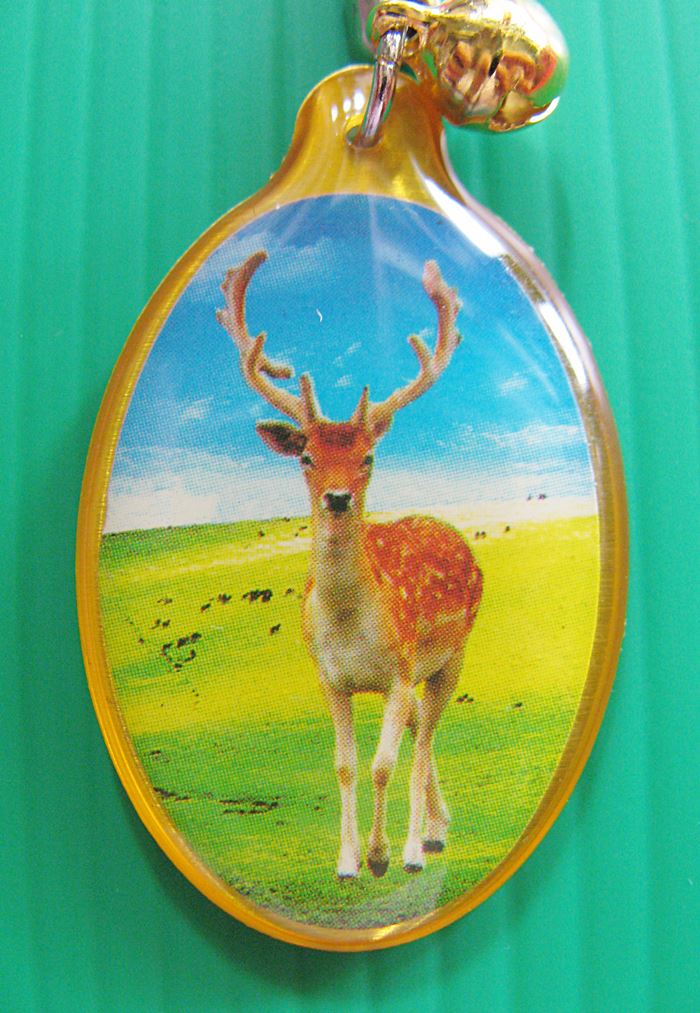 จี้ล็อกเก็ตภาพกวาง เสริมดวงปีจอ ปี2562 แบบ1ค่ะ