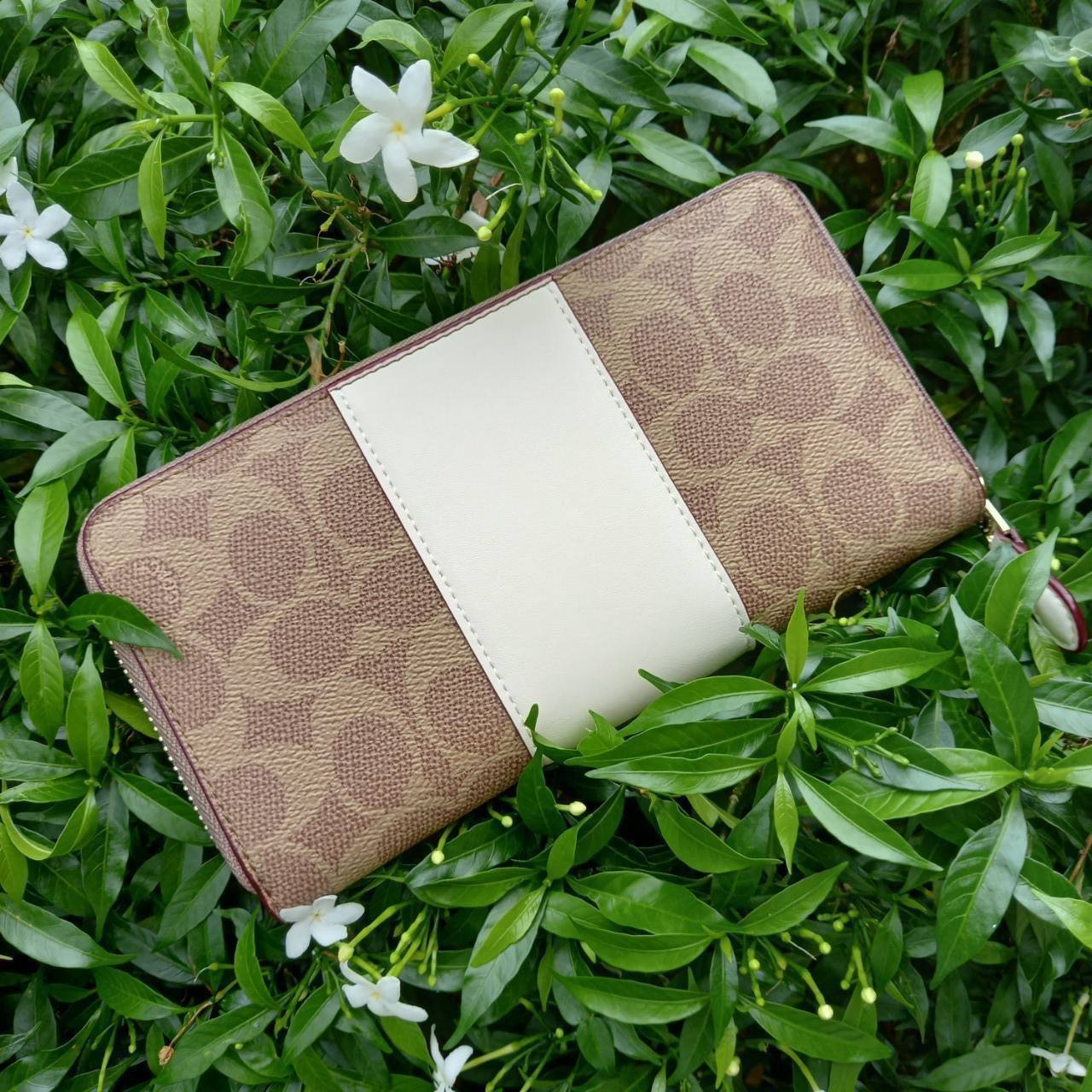 มาเท่าไหรก็ไม่เคยพอจริงๆ มีความต้องการกันถึงขีดสุด❣️😘>>COACH ACCORDION ZIP WALLET IN COLORBLOCK SIGNATURE CANVAS (COACH 31546)🍁กระเป๋าสตางค์ใบยาว ซิปรอบ //วัสดุหนังแคนวาสสลับหนังแท้ ดีไซน์สวย โดดเด่นลงตัวเป็นที่สุด ด้านในมีช่อ