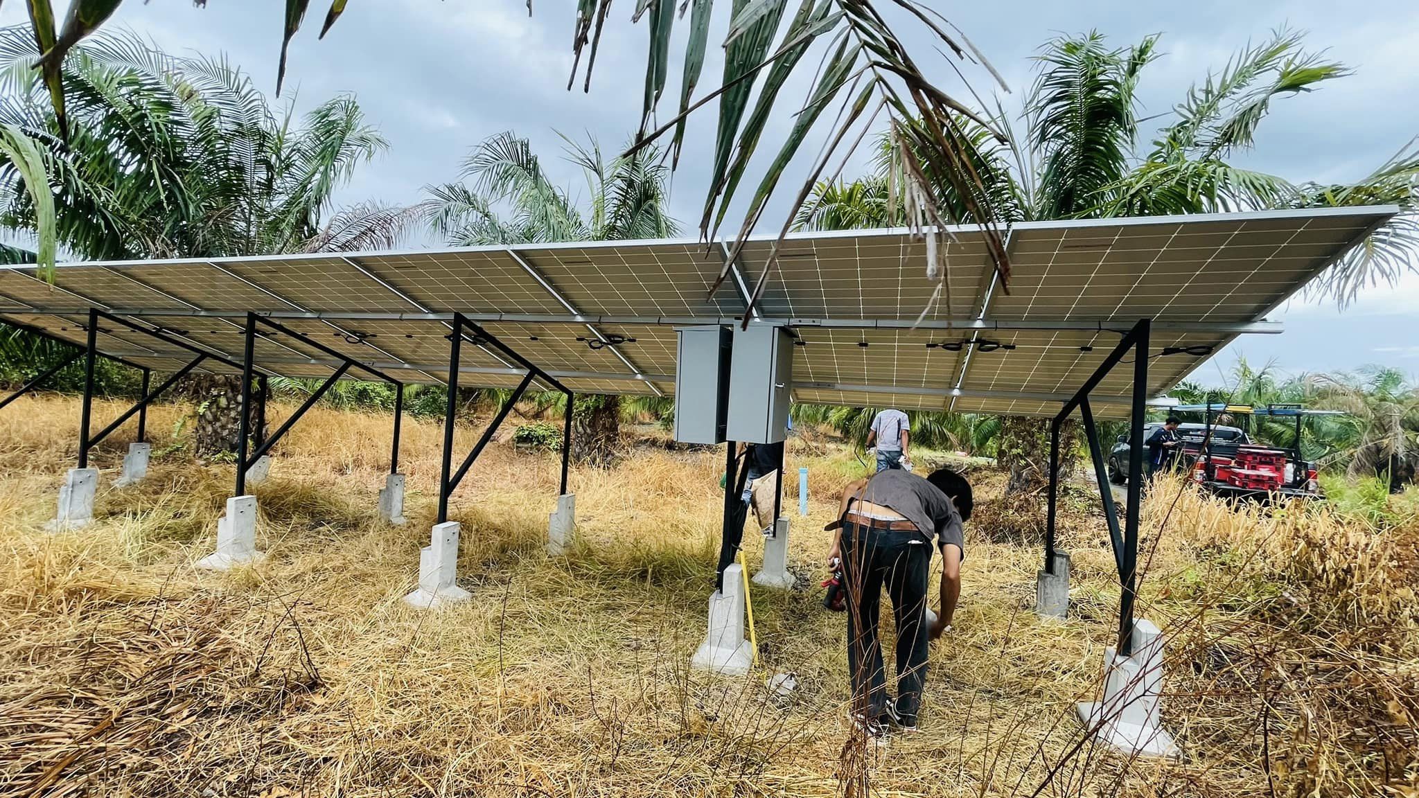 ชุดซัมเมิสปั้มบาดาล ขนาด 3 แรงม้า สวนปาล์มน้ำมัน