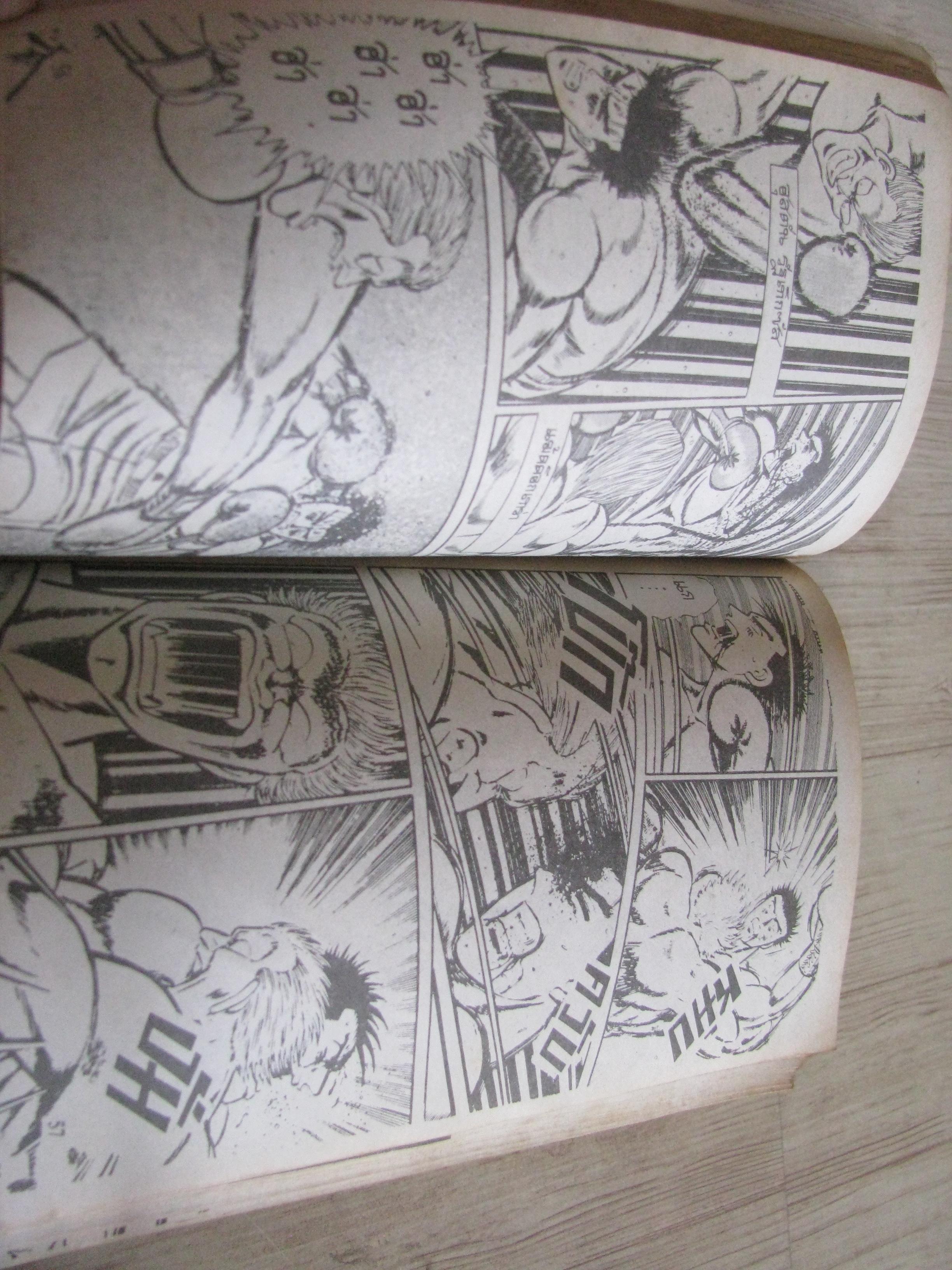 ไอ้เลือดเดือด ชุด เล่ม 1,3,5 (6 เล่มจบ)