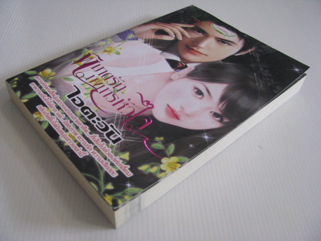 พิฆาตรักบงการหัวใจ ไอตะวัน เขียน