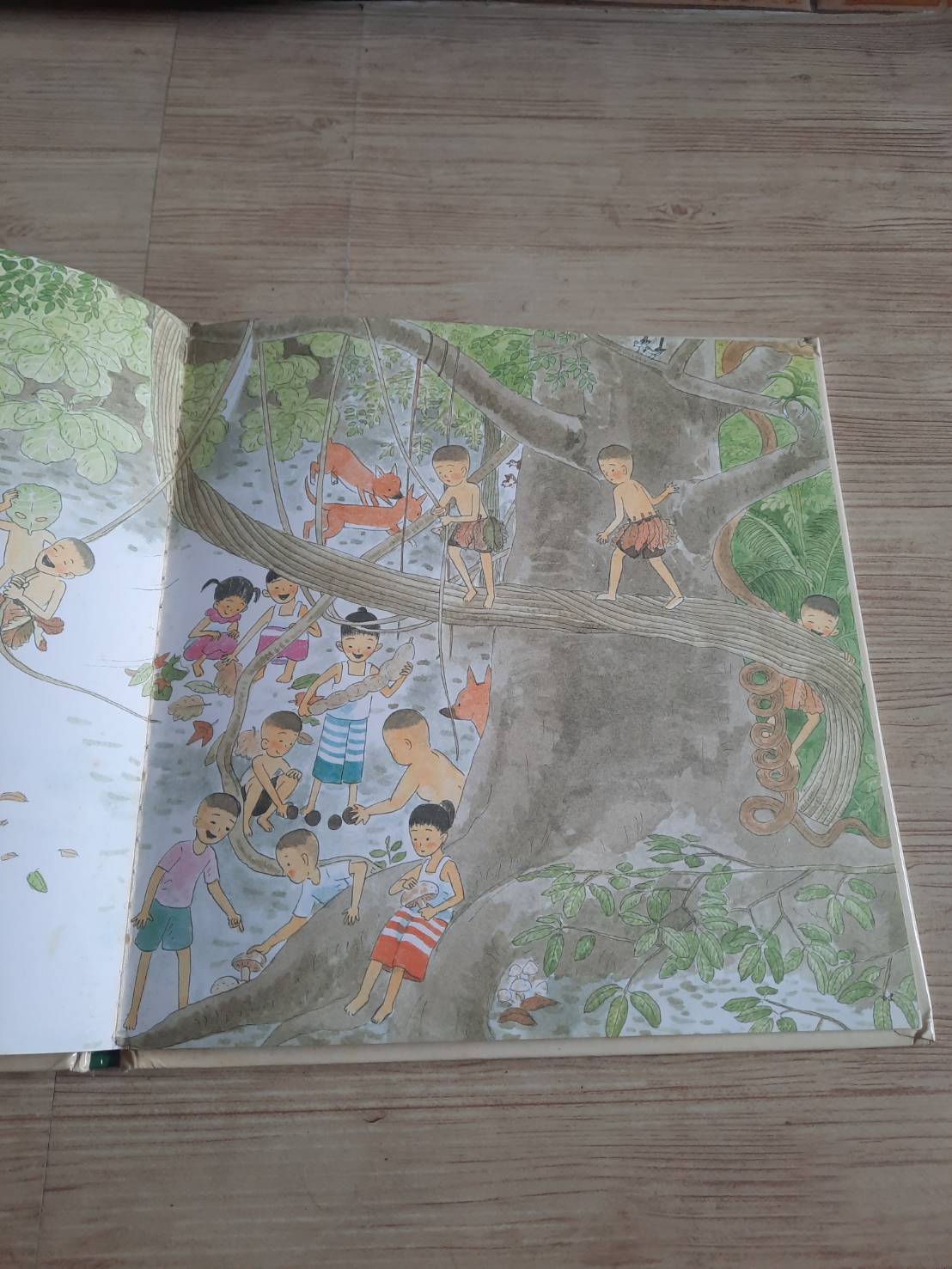 เล่นในป่า ชีวัน วิสาสะ เรื่อง ปรีดา ปัญญาจันทร์ ภาพ***สินค้าหมด***