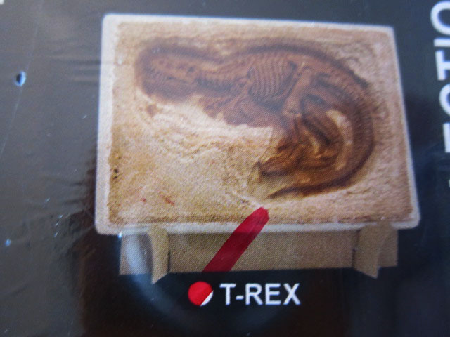 ชุดขุดฟอสซิลไดโนเสาร์(แบบแผ่นฟอสซิลตั้งโชว์) Expedition Excavation Kits