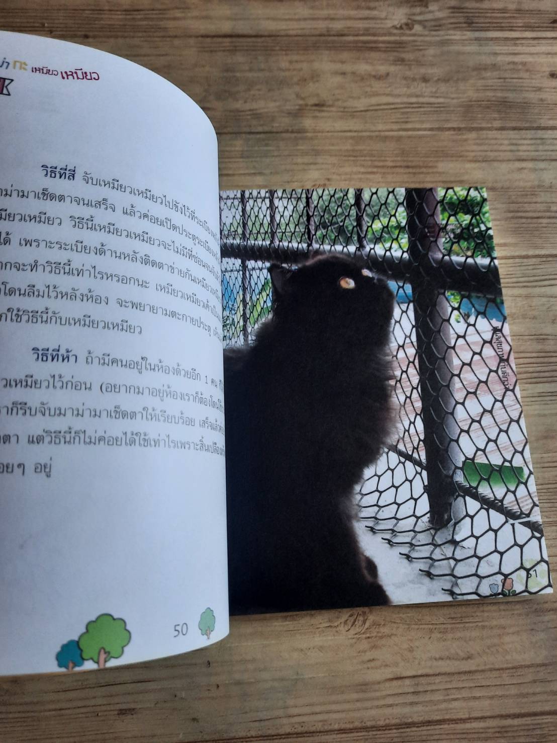 มาม่ากะเหมียวเหมียว หม่ามี้ของม่าเหมียว เขียน