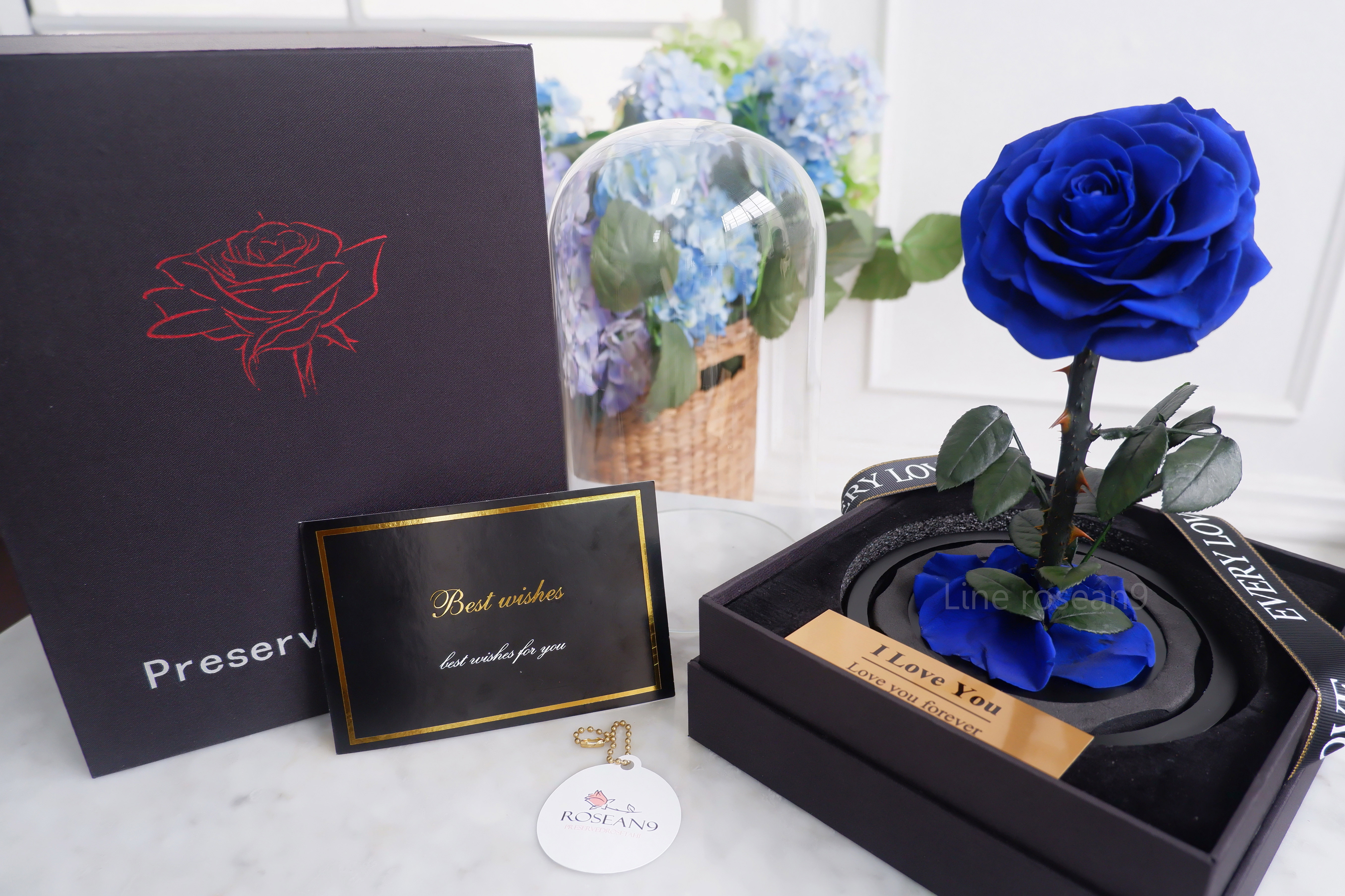 กุหลาบอมตะ กุหลาบในโหลแก้ว กุหลาบสีน้ำเงิน กุหลาบโฉมงามกับเจ้าชายอสูร กุหลาบbeauty and the beast