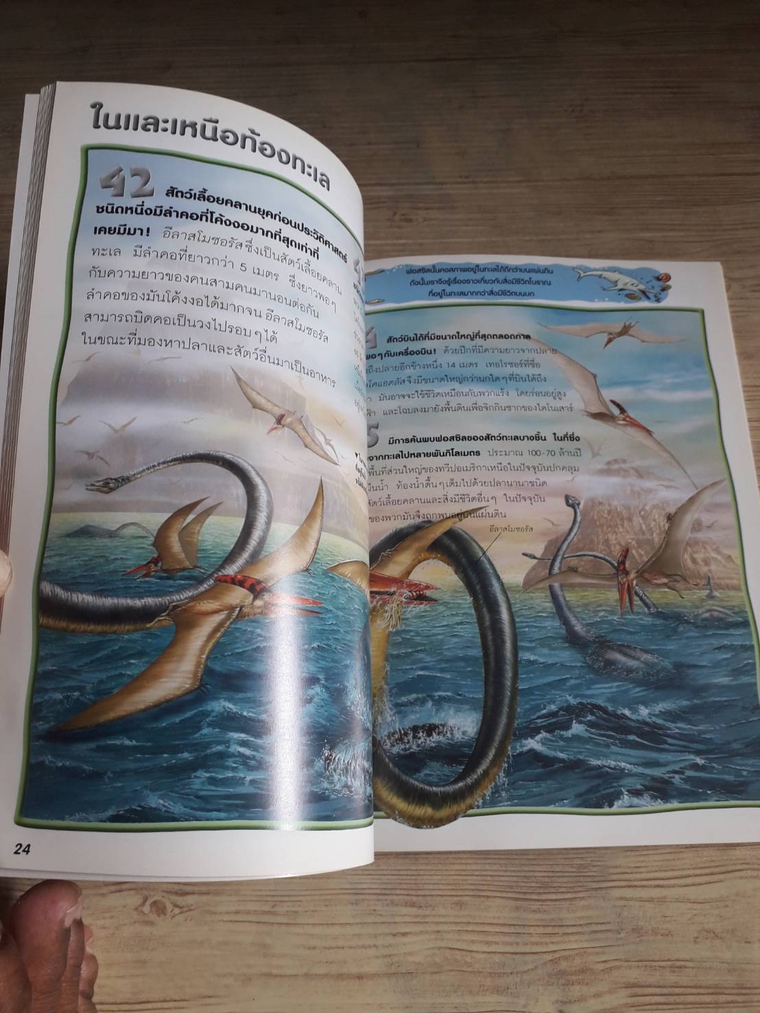 100 เรื่องน่ารู้เกี่ยวกับชีวิคยุคก่อนประวัติศาสตร์ รูเพิร์ต แมทธิว เรื่อง ชวธีร์ รัตนดิลก ณ ภูเก็ต แปล