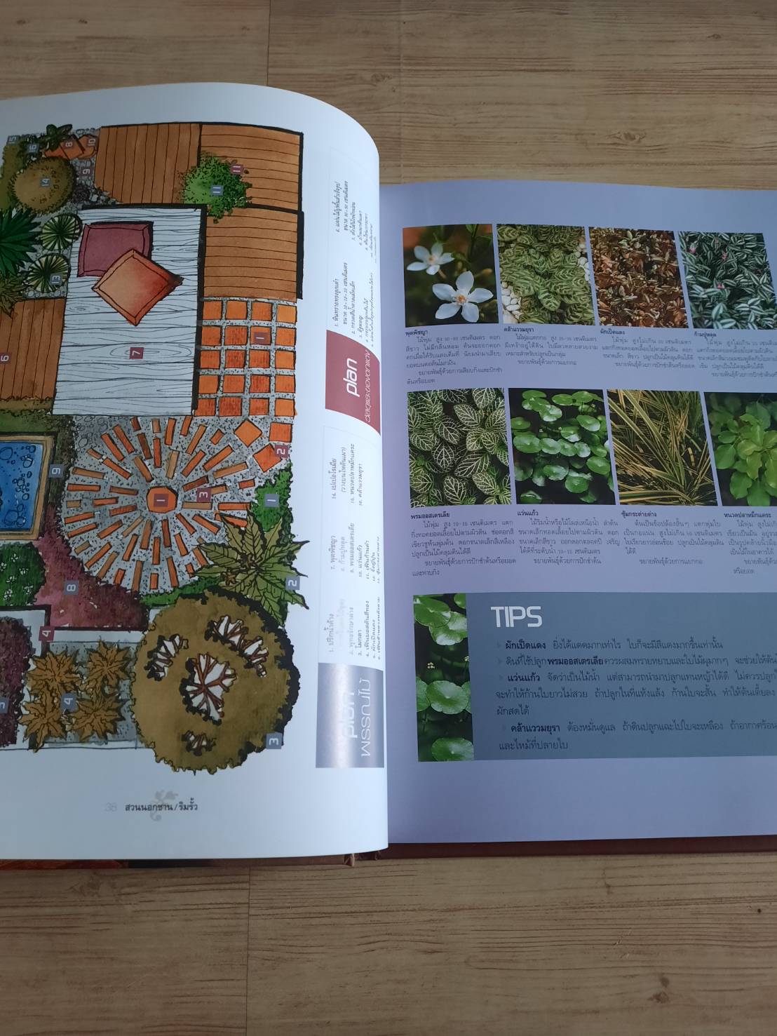 สวนในบ้าน เล่ม 17 สวนนอกชาน / ริมรั้ว พิมพ์ครั้งที่ 6 โดย กองบรรณาธิการสำนักพิมพ์บ้านและสวน