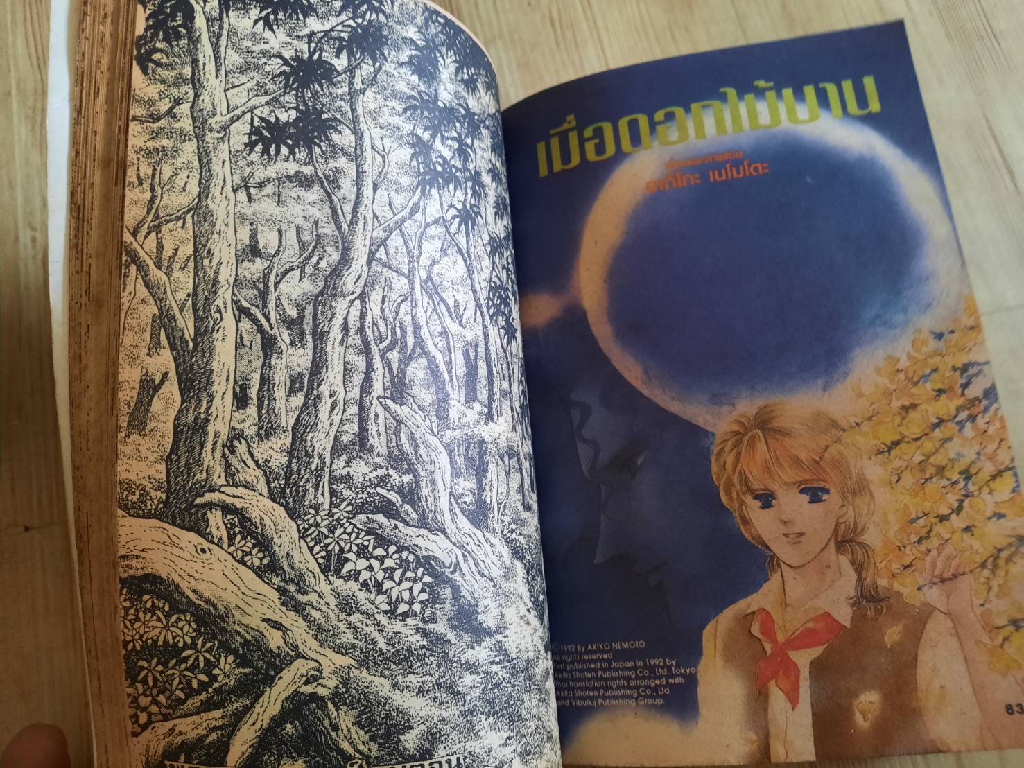 GIFT MAGAZINE ฉบับ MYSTERY ชุด เล่ม 1-12