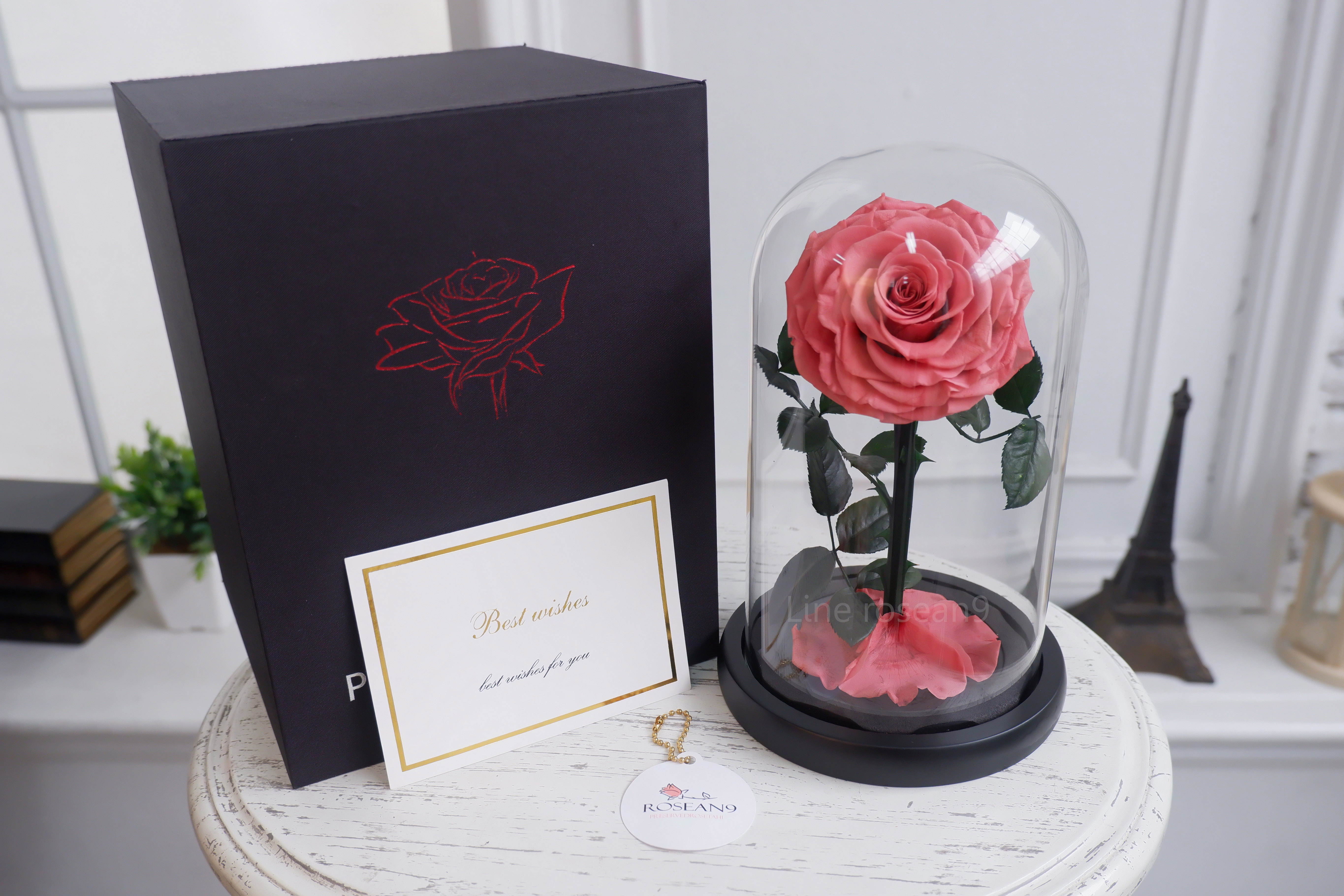 กุหลาบอมตะ กุหลาบในโหลแก้ว สีชมพูสม็อค กุหลาบโฉมงามกับเจ้าชายอสูร กุหลาบbeauty and the beast