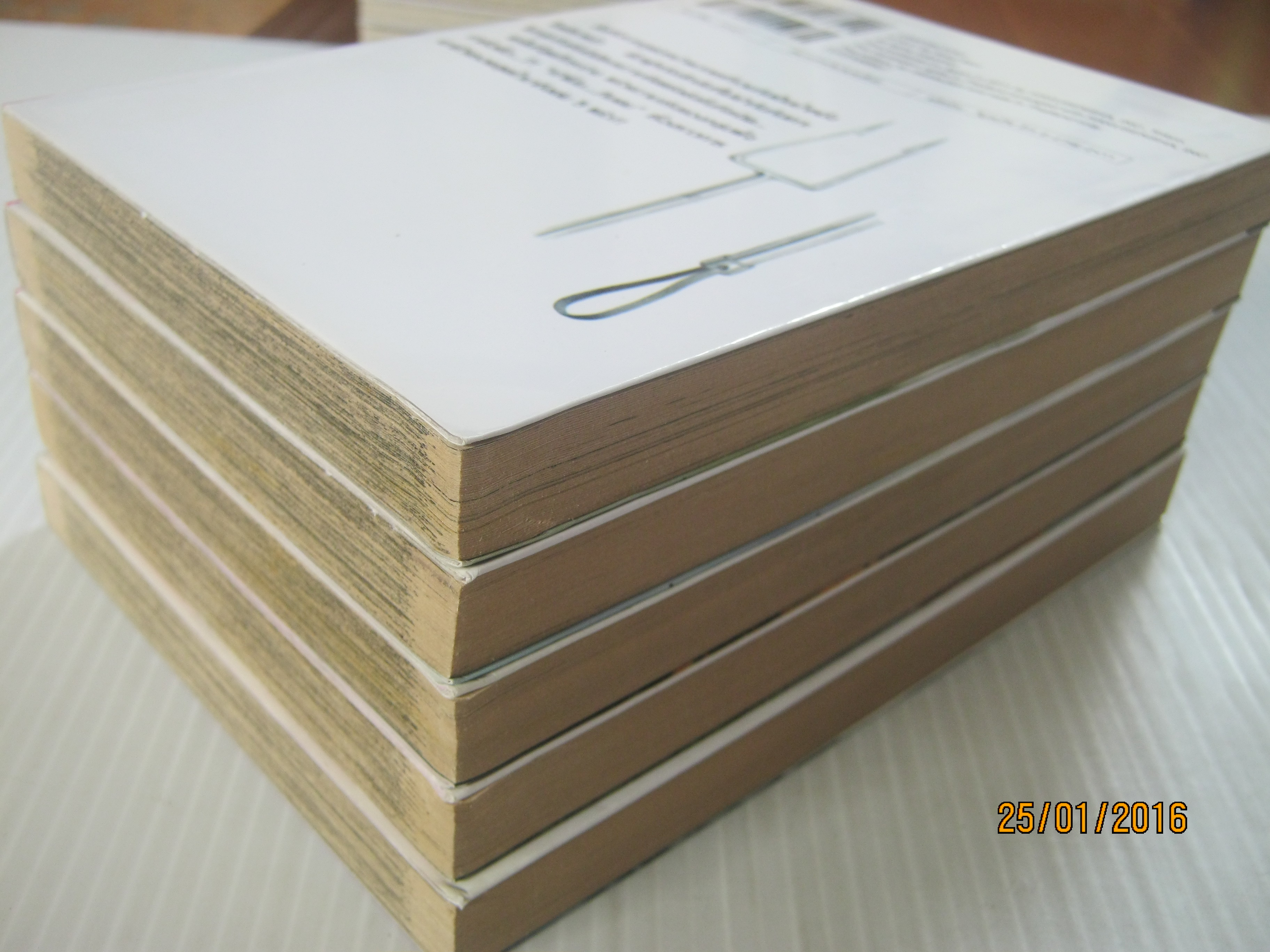 เกาะคนตาย ชุด เล่ม 1-5 Kouji Mori เขียน ( ยังไม่จบชุด ) สภาพสะสม