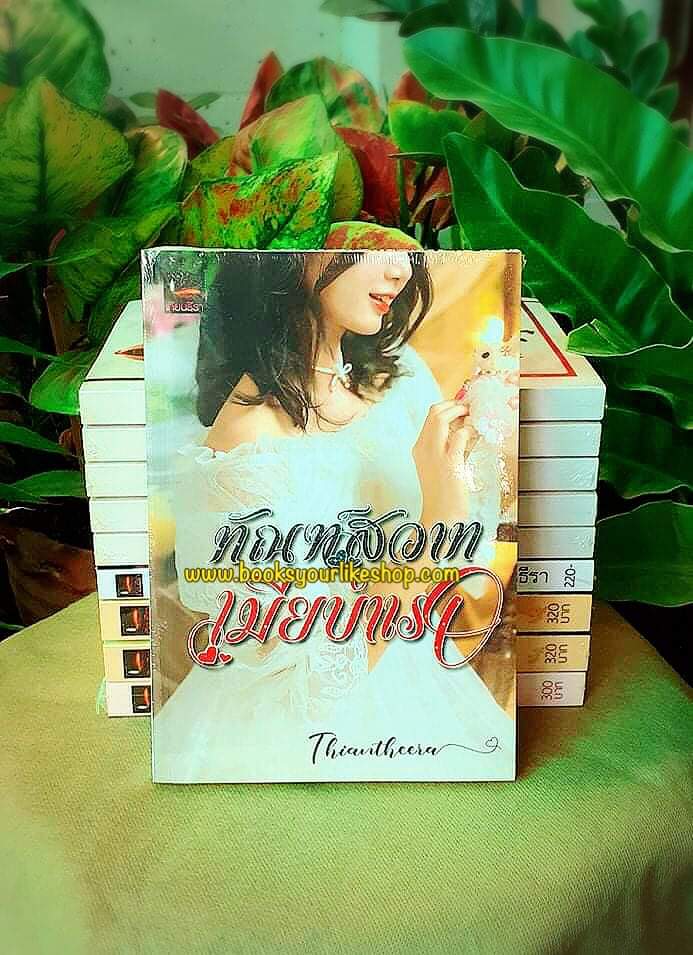 ทัณฑ์สวาทเมียบำเรอ ( เมียน้อยทะเบียนเถื่อน),ผู้แต่ง,เทียนธีรา,นิยายรักทำมือ,แนะนำค่ะ